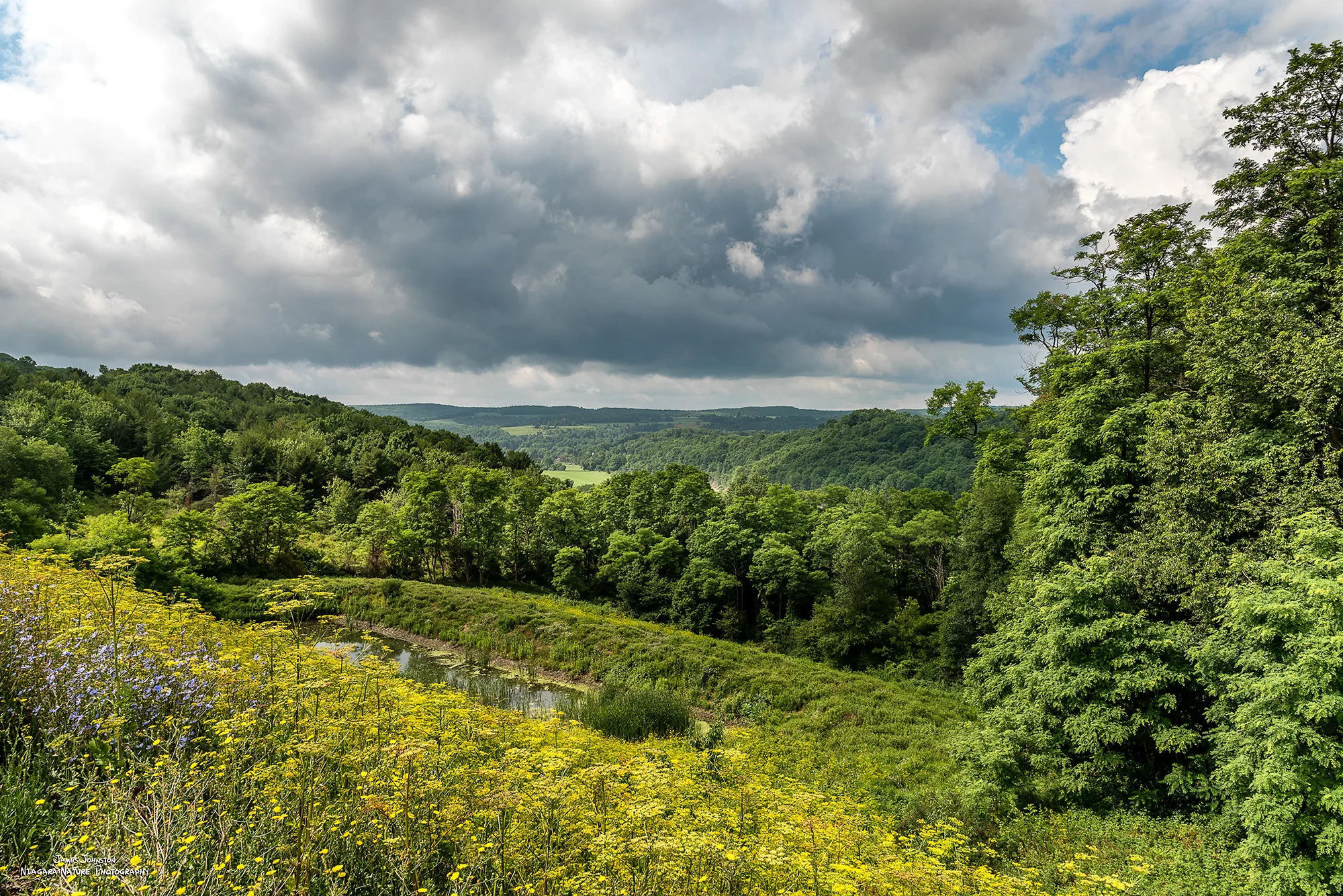 20160709-2.jpg