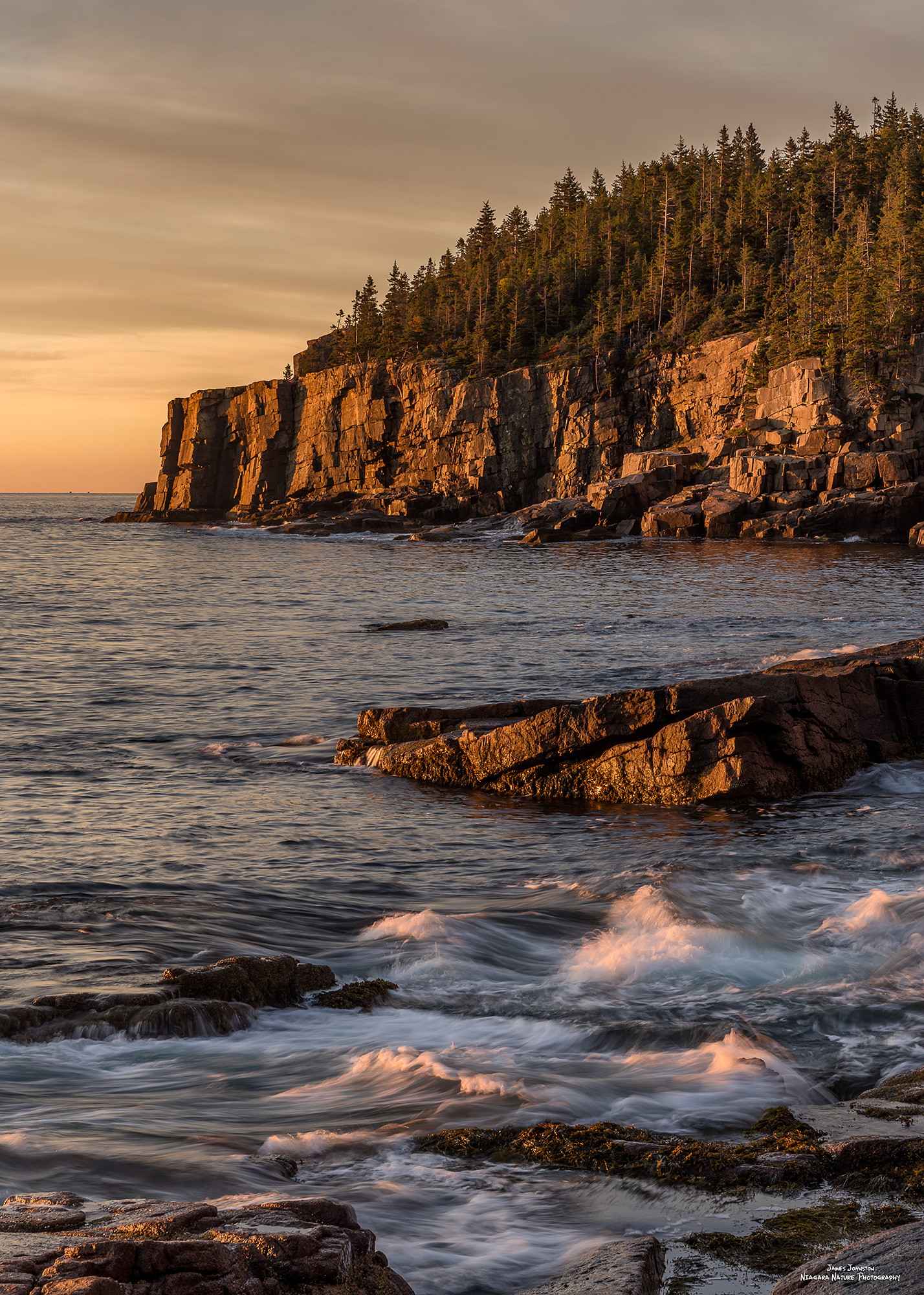 Acadia National Park — Nature Photography