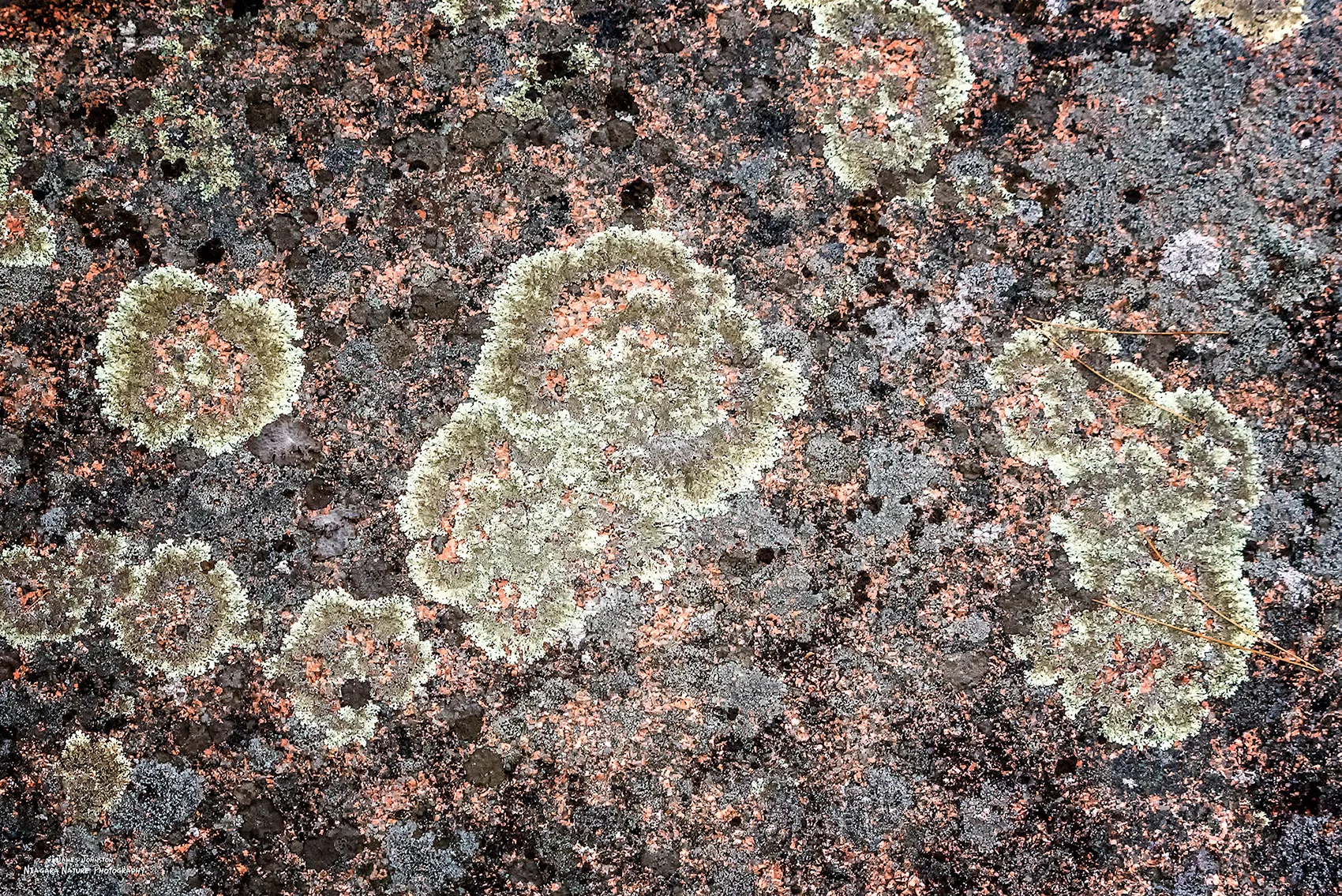 20161013-16.jpg