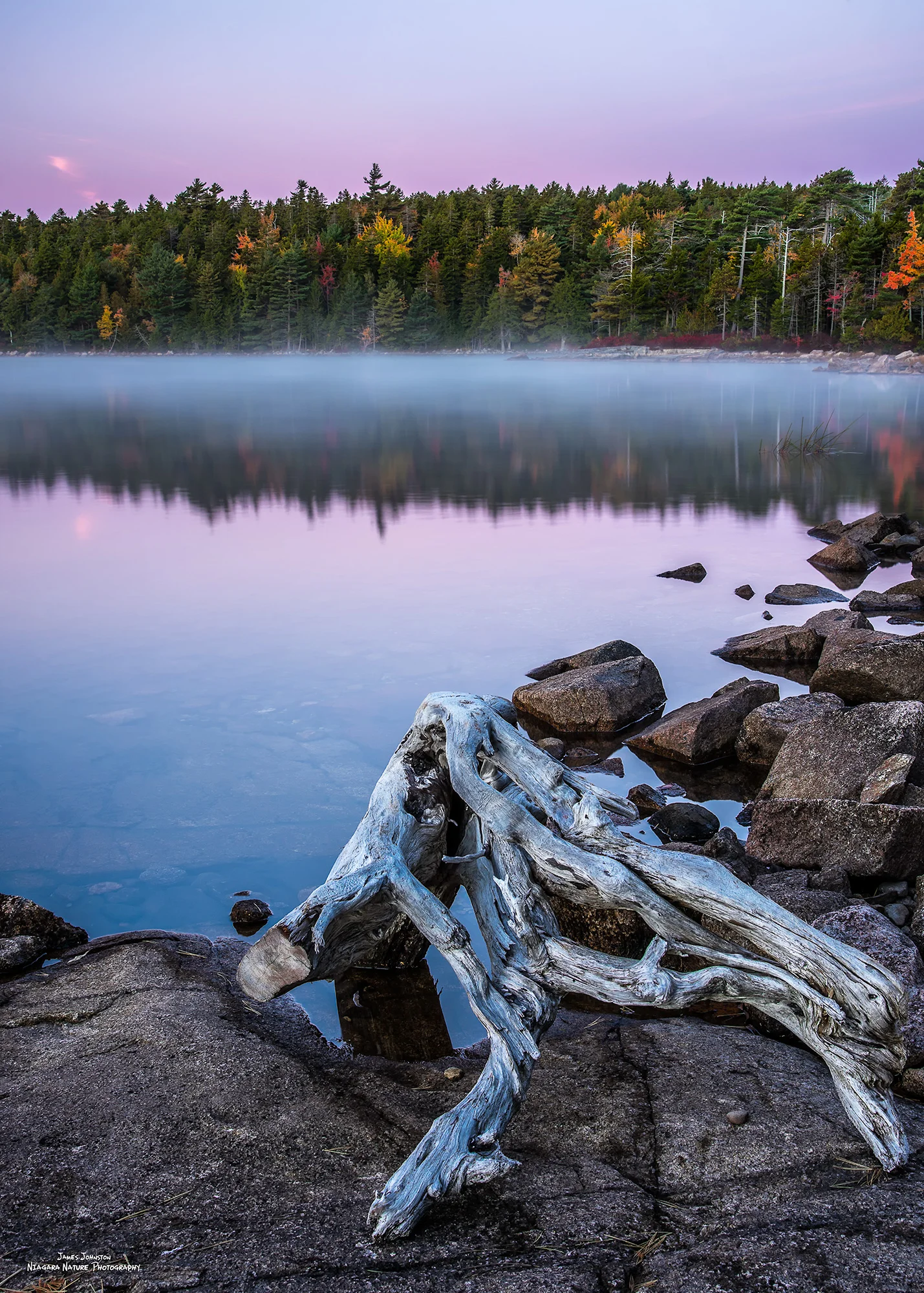 Bones Of Eagle Lake