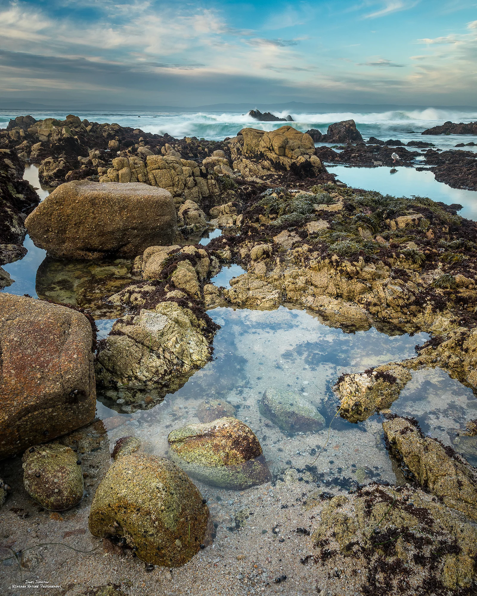 Pacific Grove Tidal I