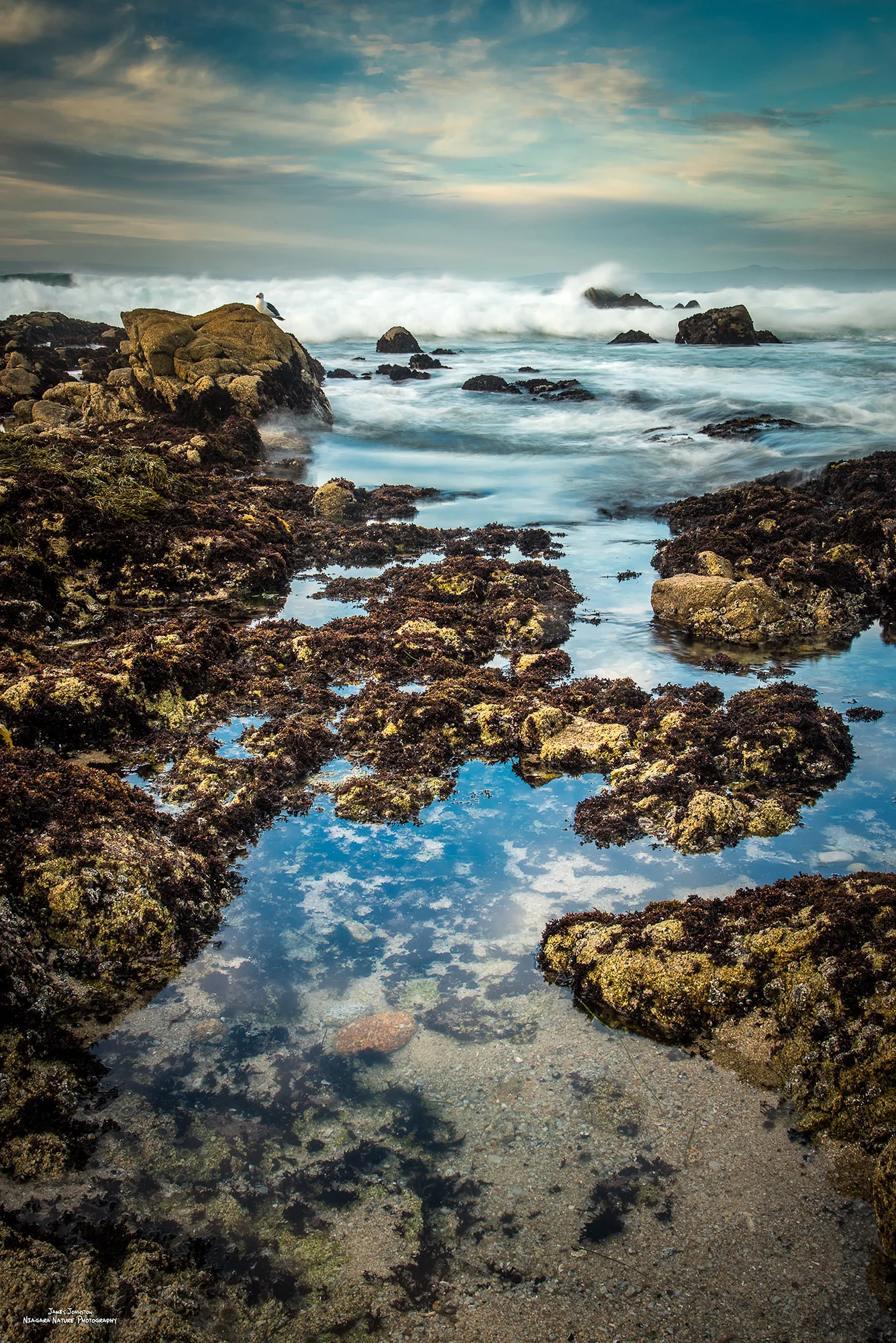 Pacific Grove Tidal II