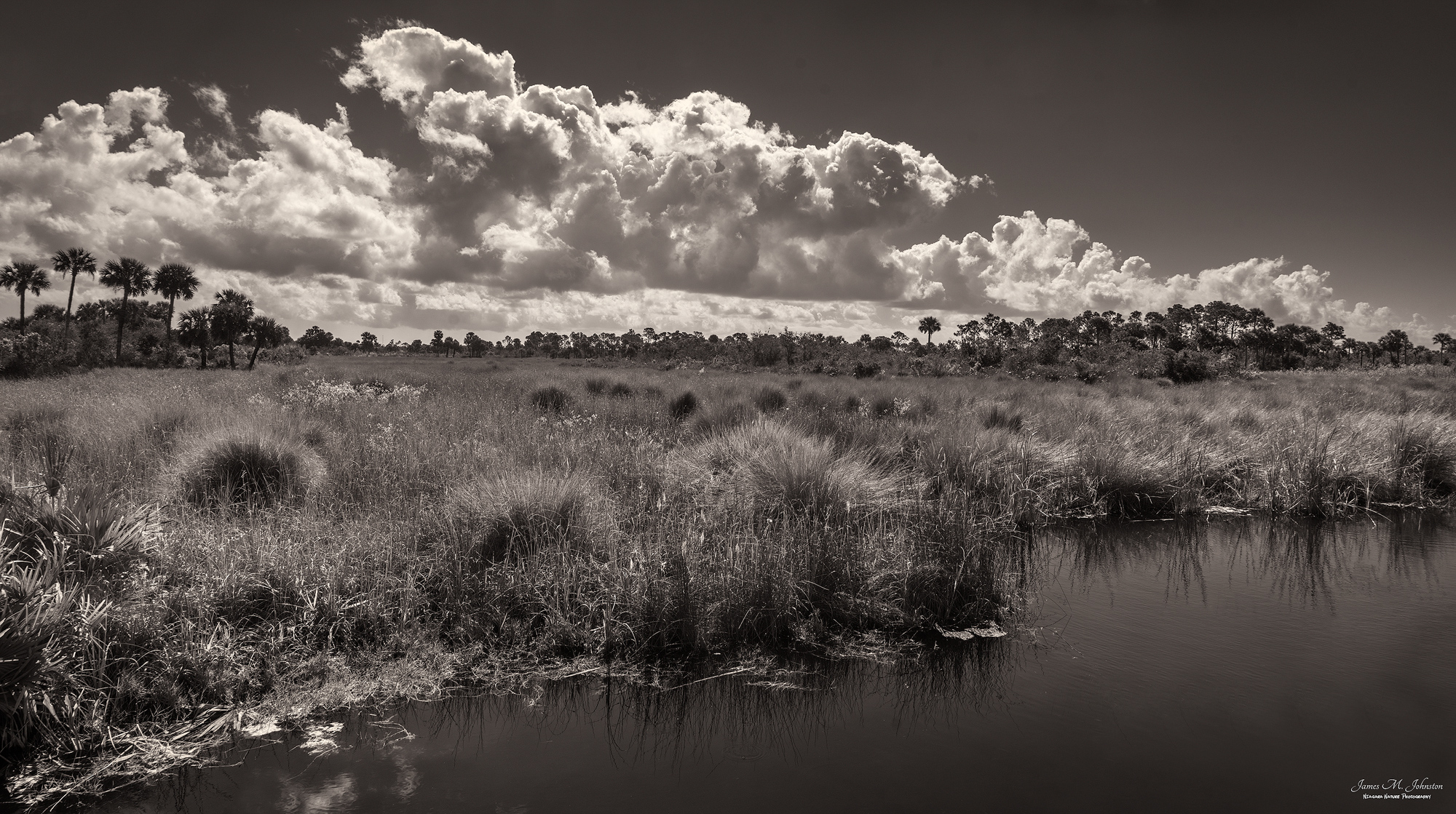 Merritt Island Morning