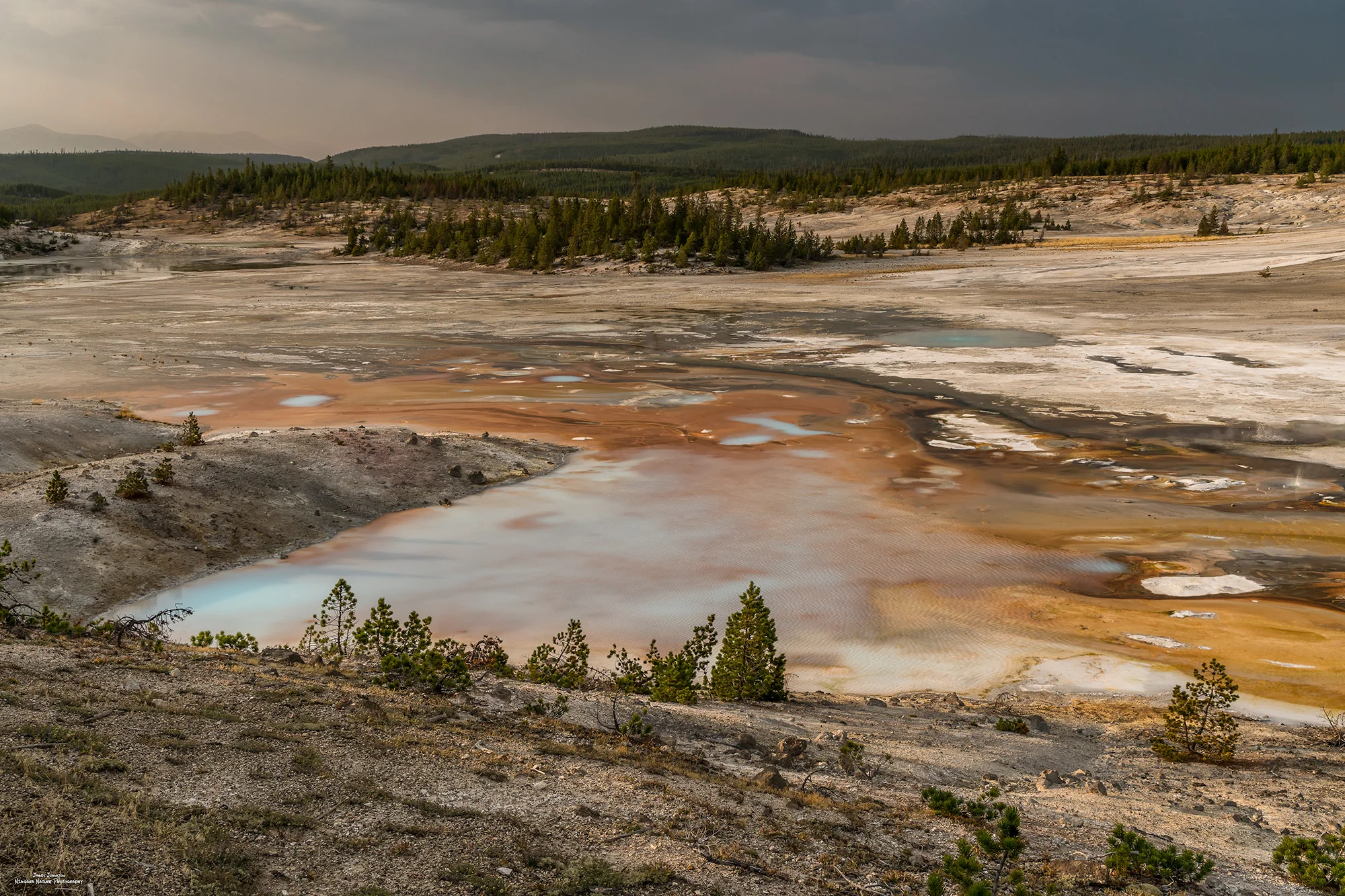 Norris Geyser Basin