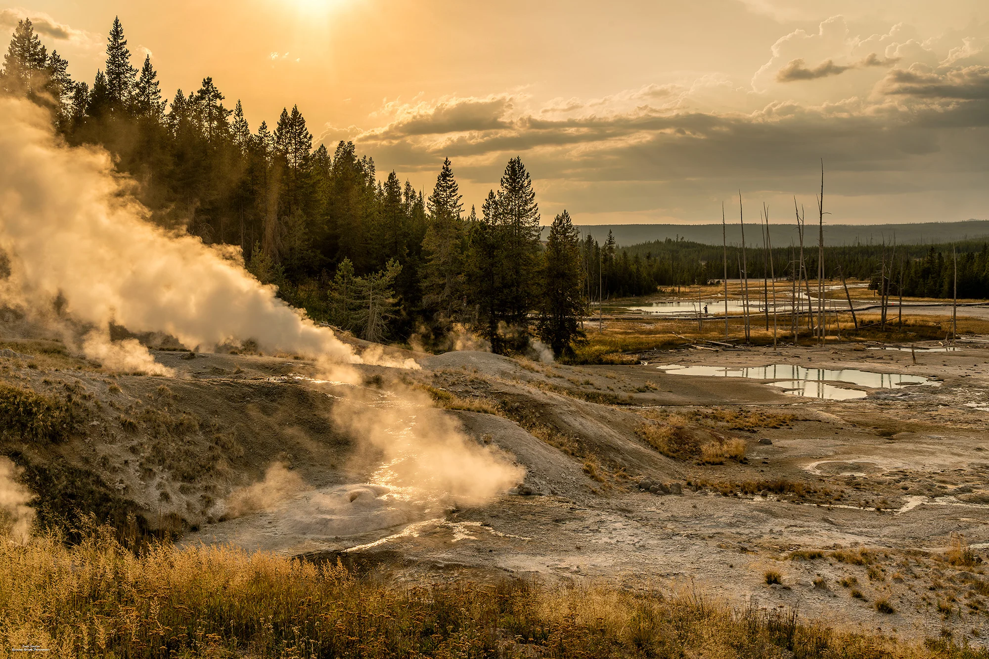 Norris Basin Gold