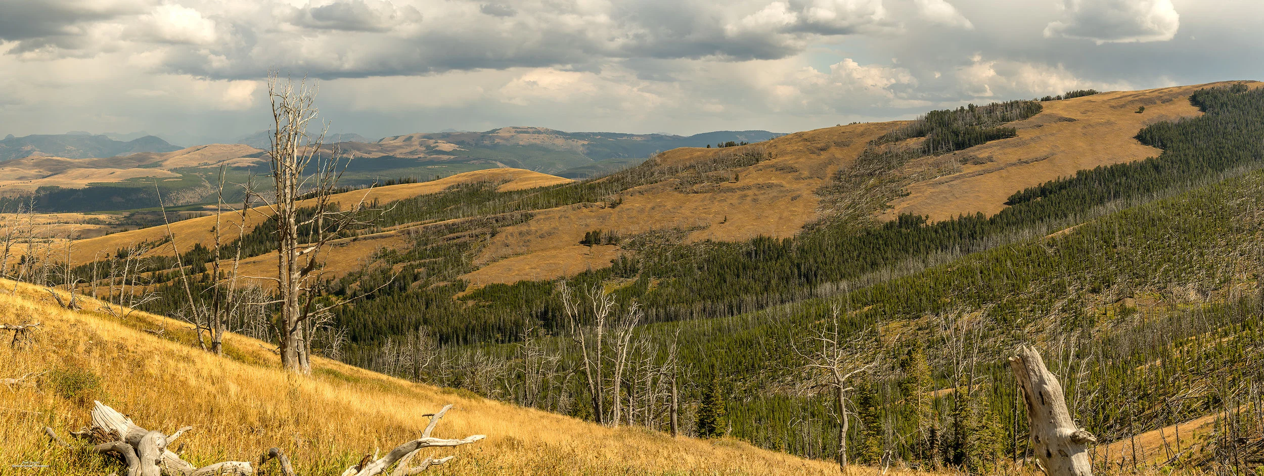 The View From Mount Washburn