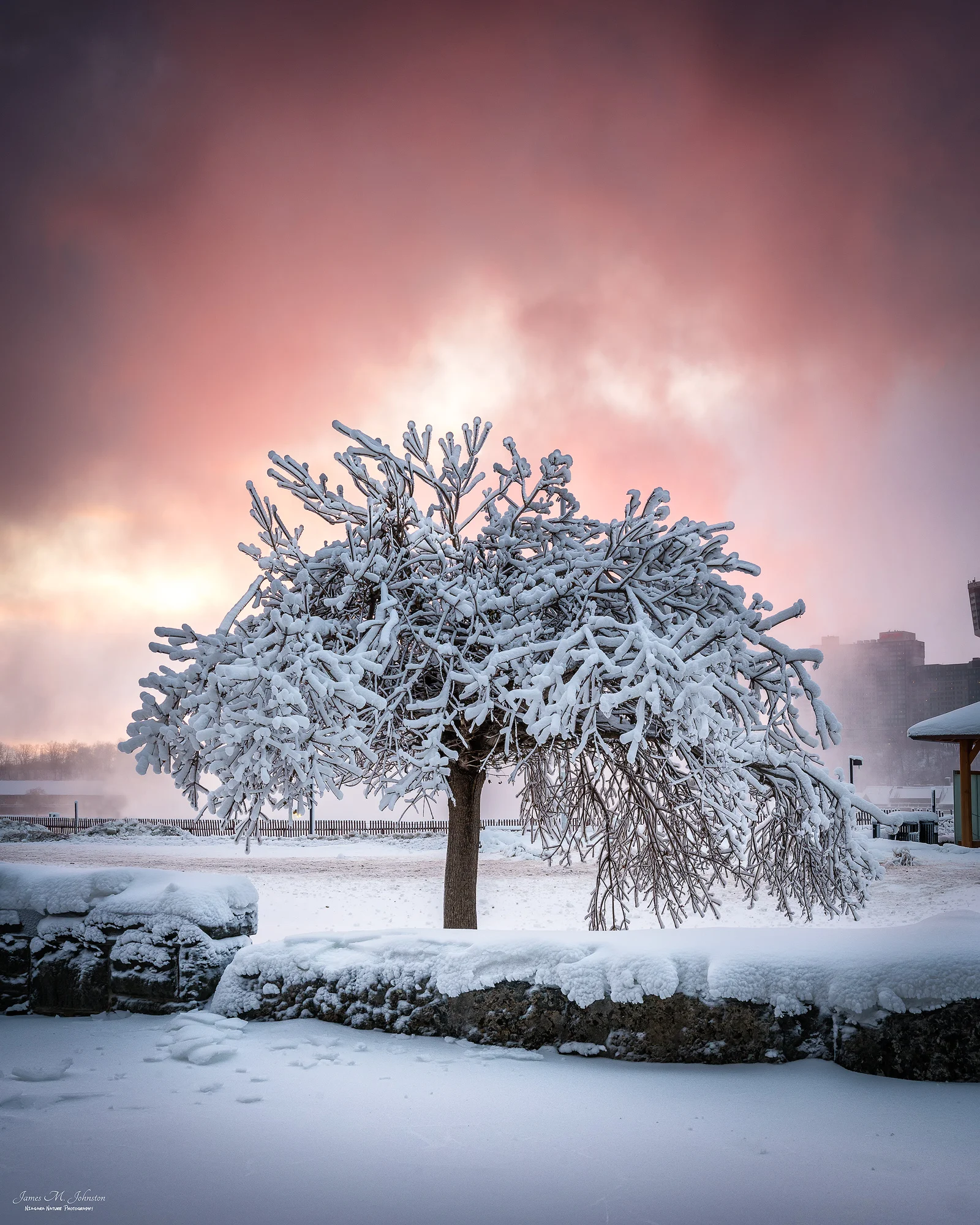 Frozen