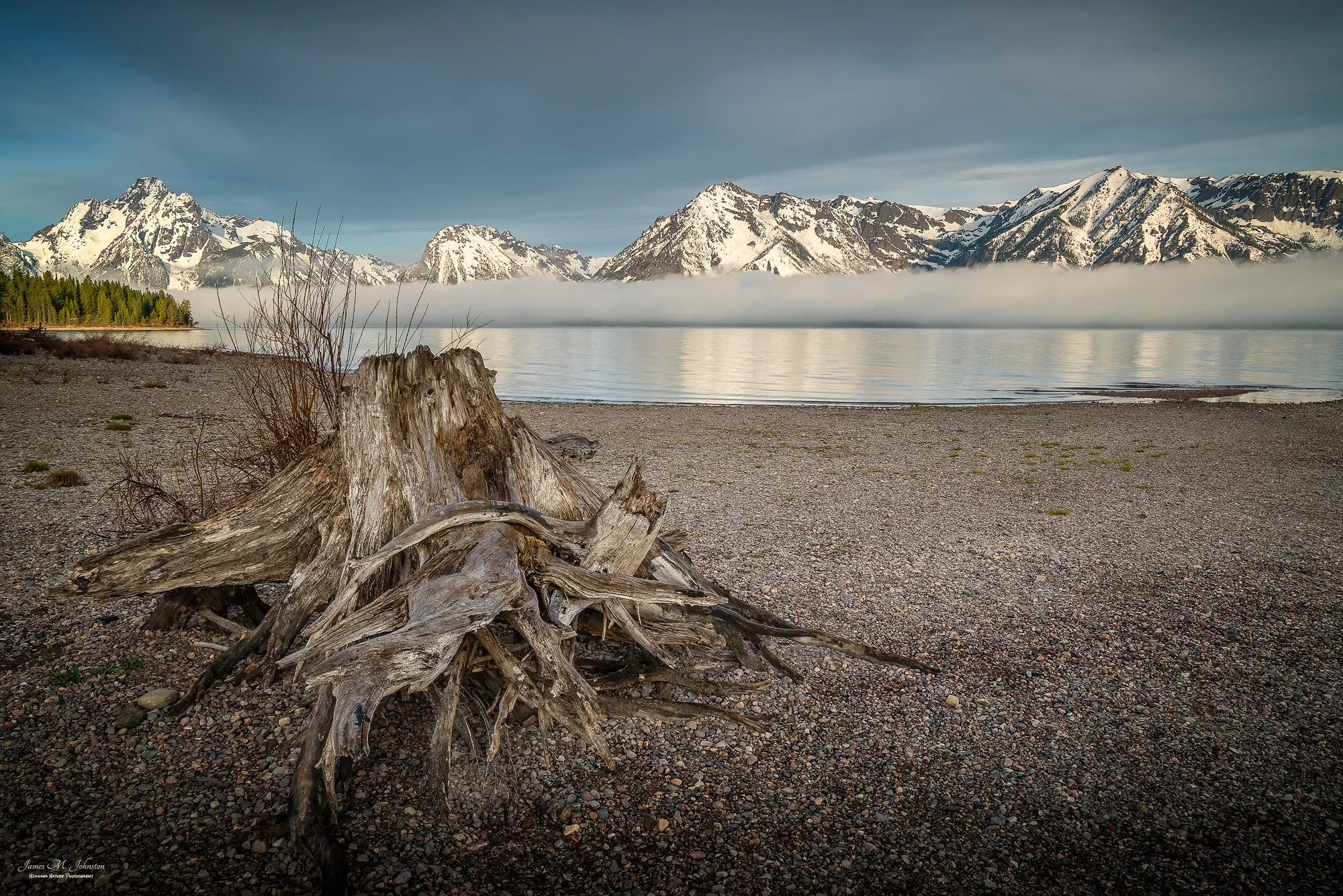 Colter Bay View