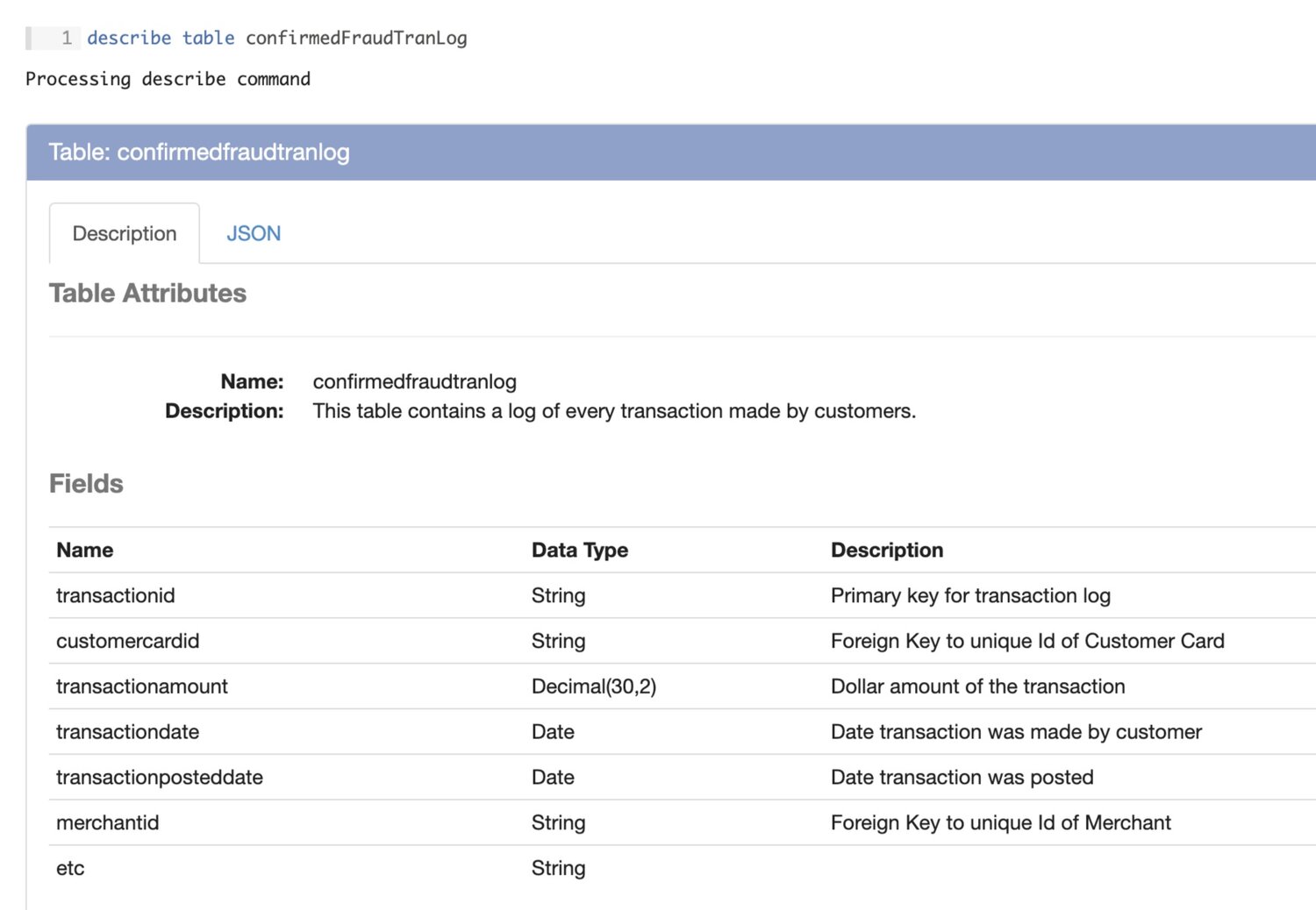 Optimizing Spark scripts: Silectis Magpie screen (describe table command)