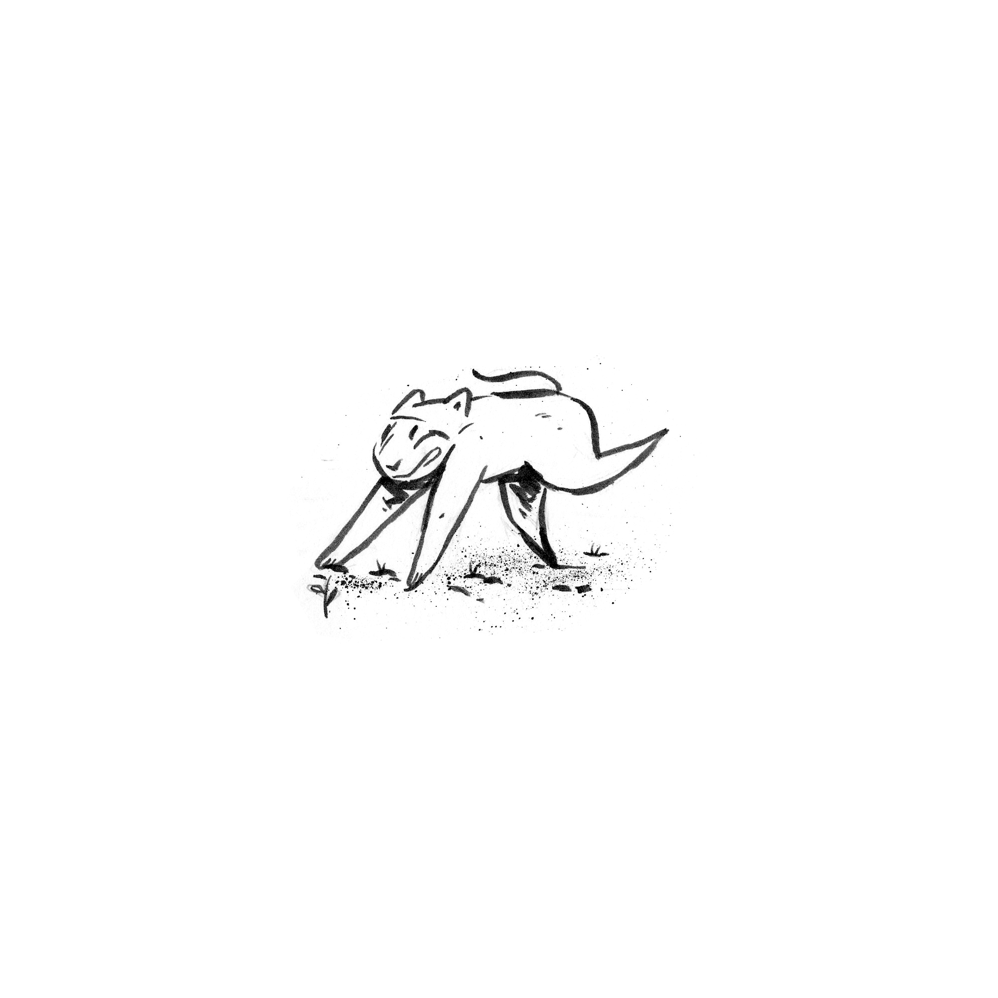 tigeranimation.gif