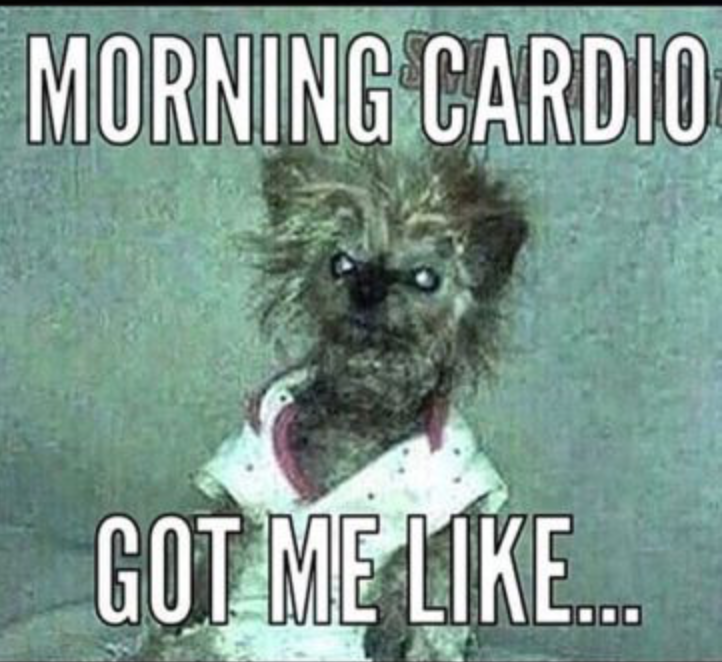 morning cardio.png