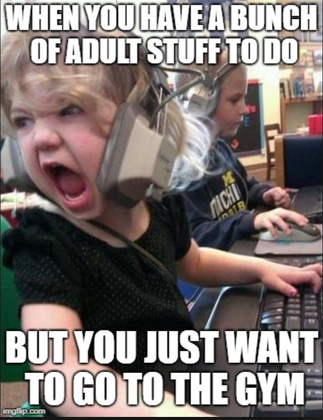 adulting.png
