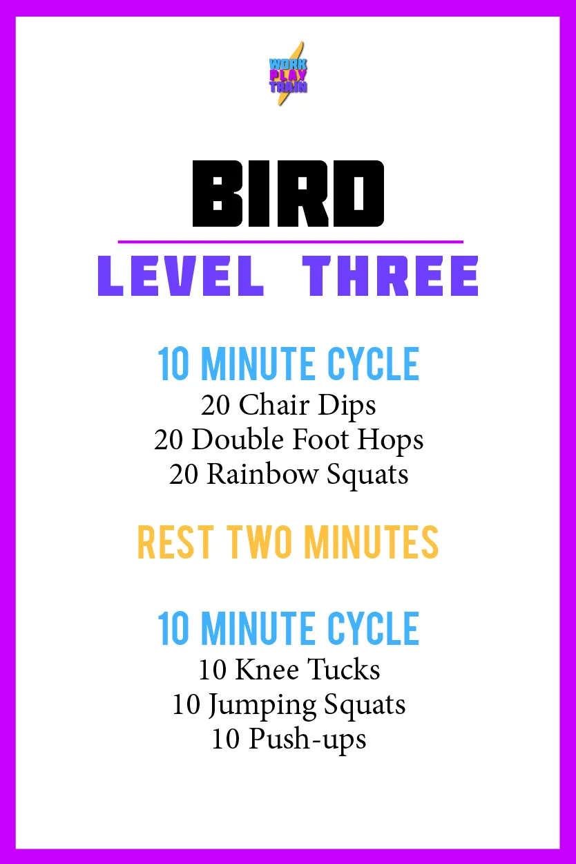 Bird _ 3.jpg