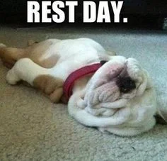 rest.jpg