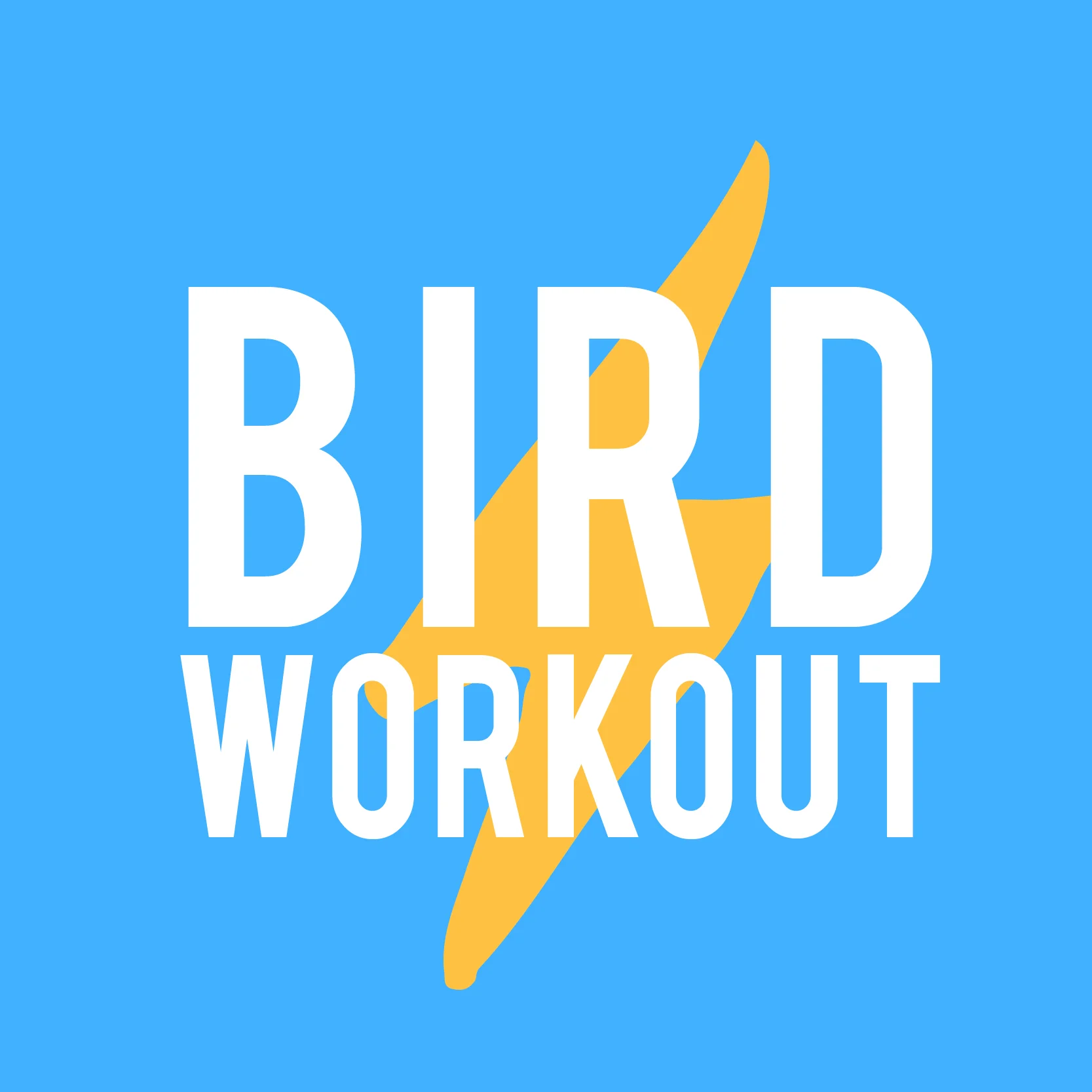 bird.jpg
