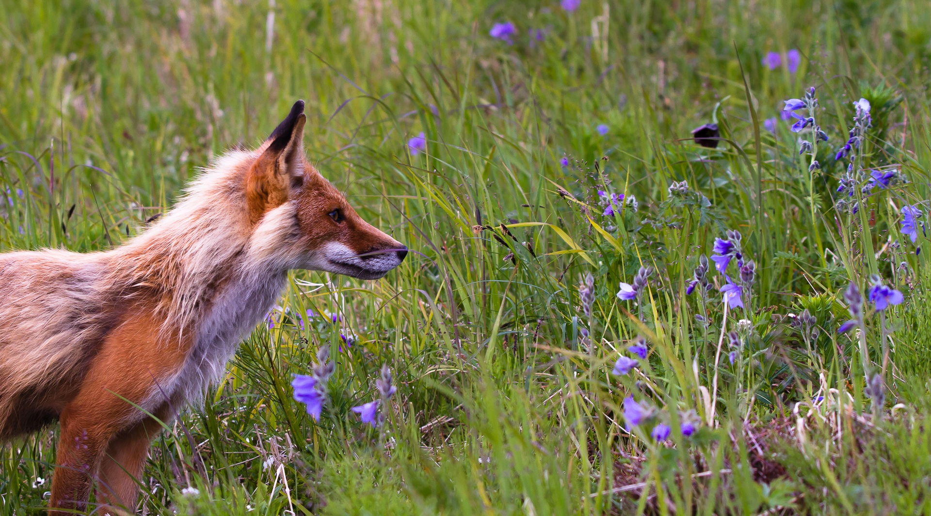 Photograph by Dana Critchlow