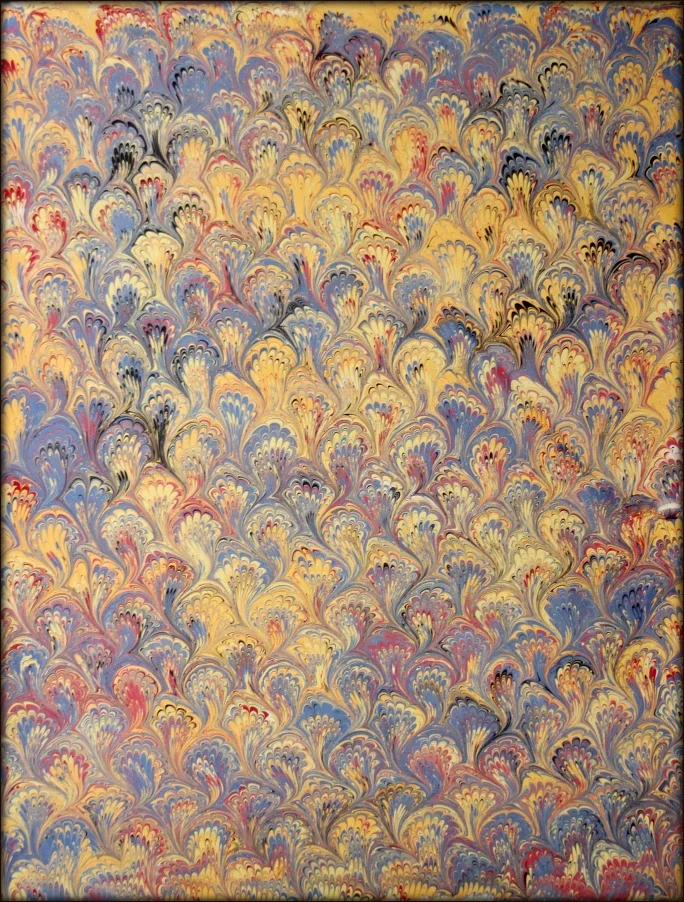 BoquetColorfulFullFramed.jpg