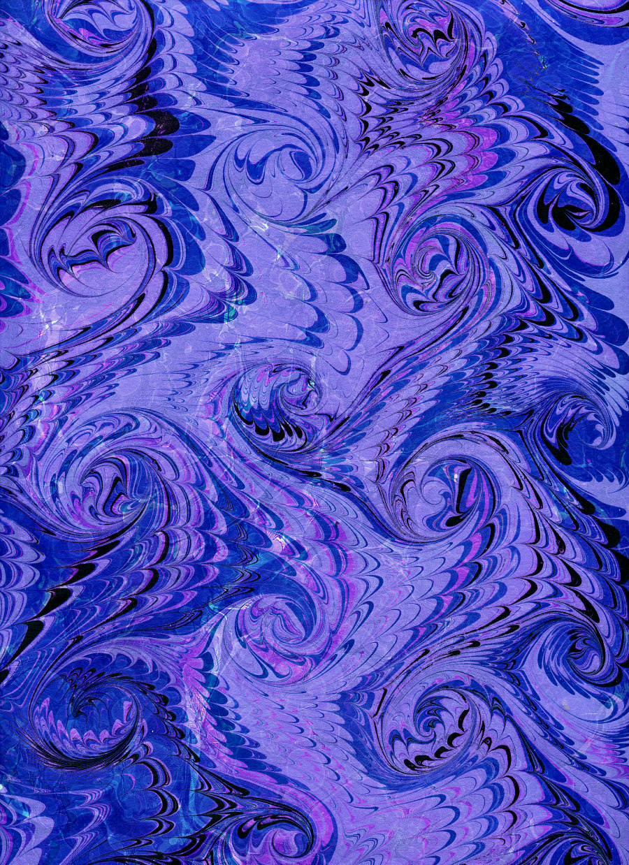 Overmarble Snail on Stones518FixedResized.jpg