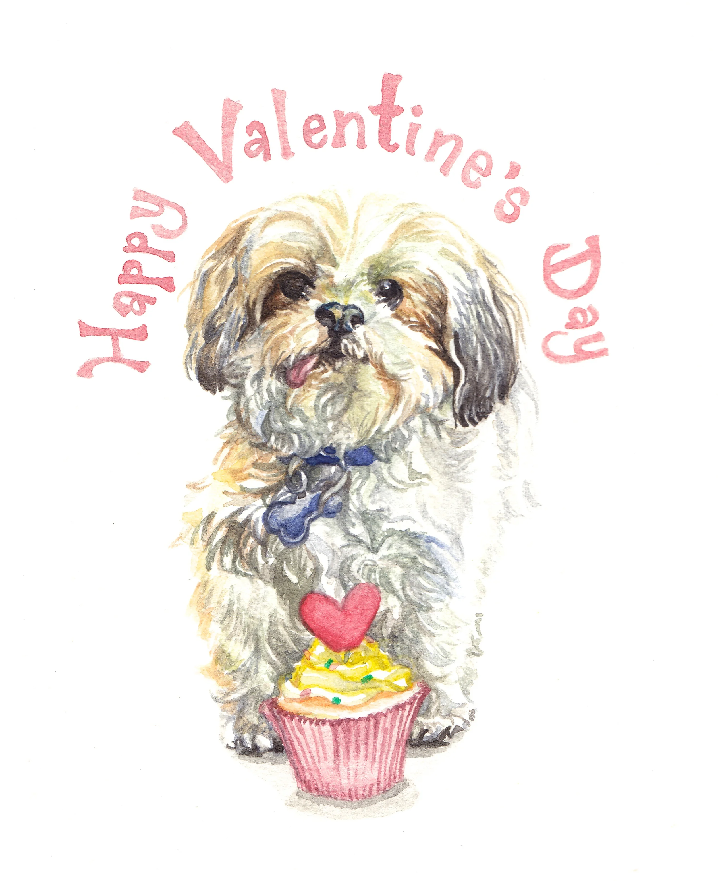 Happy Valentine's Day from Bam Bam, a sweet Shih Tzu from Lucky Dog Animal Rescue . 