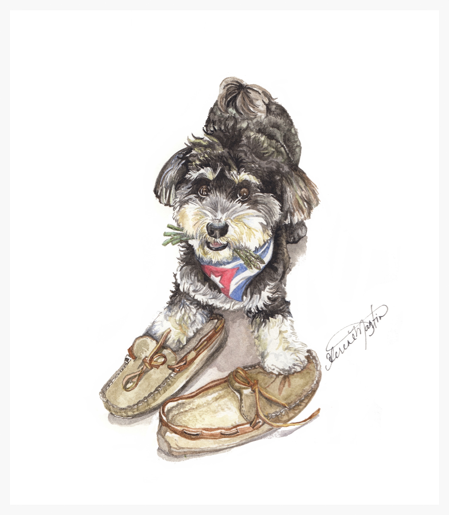 Harry
