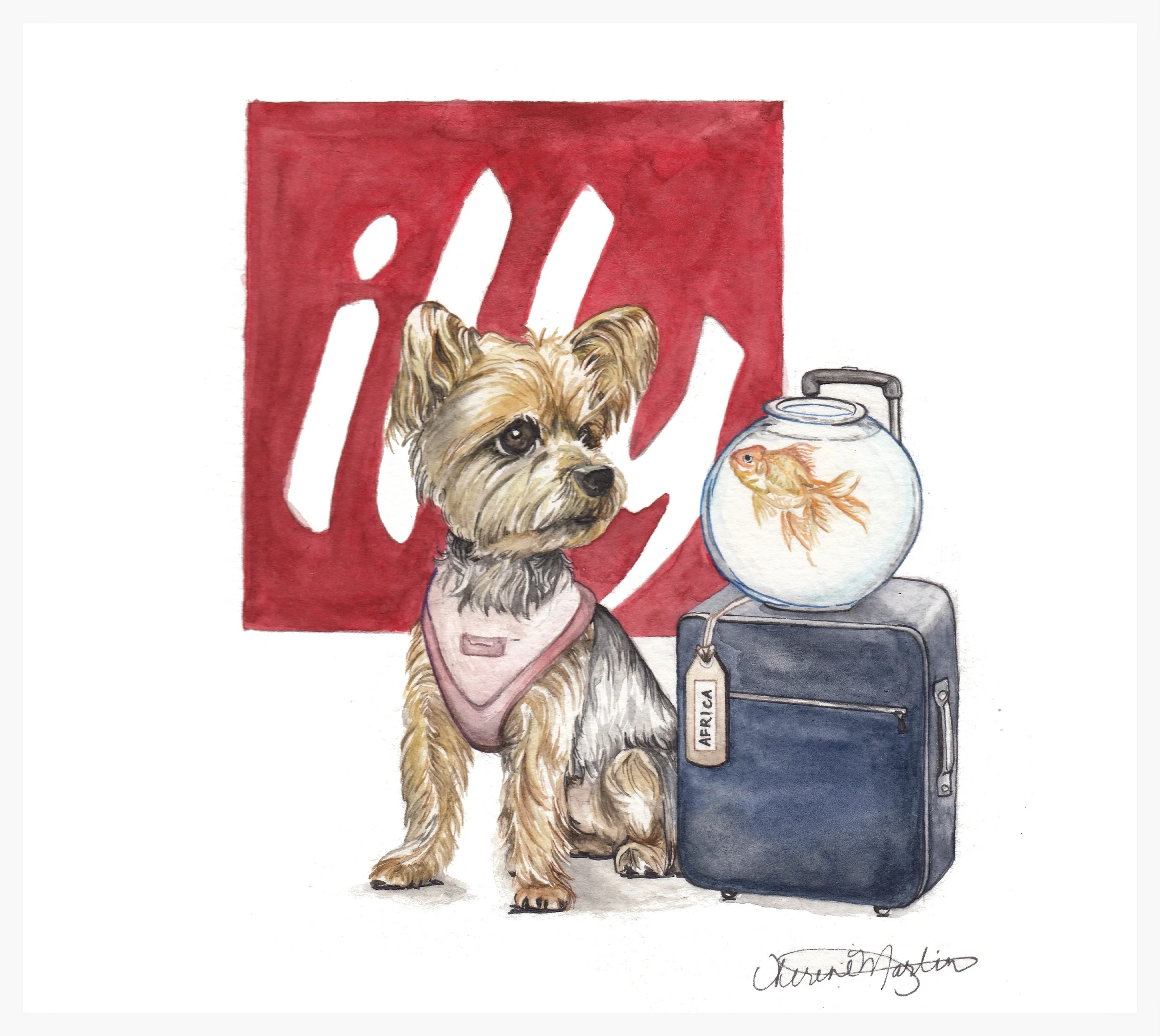 Illy