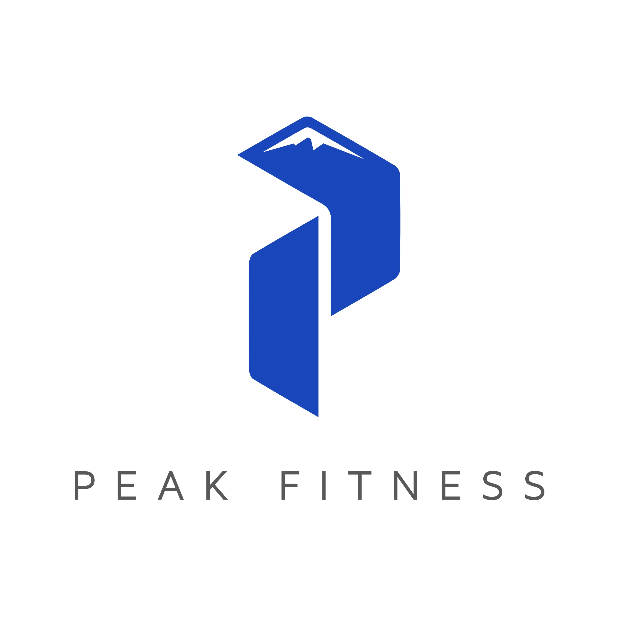 P_Logo_2_Color_Gray.jpg