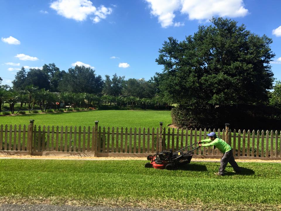 Eric's Land Management | 813-477-5552 | Residential Lawn Service