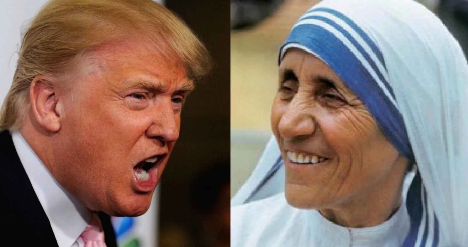 Donald - Mother Theresa.jpg