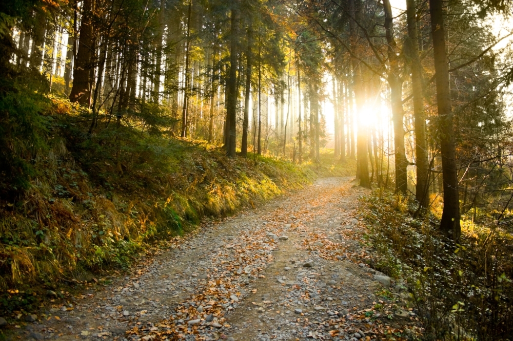 mountain path sun.jpg
