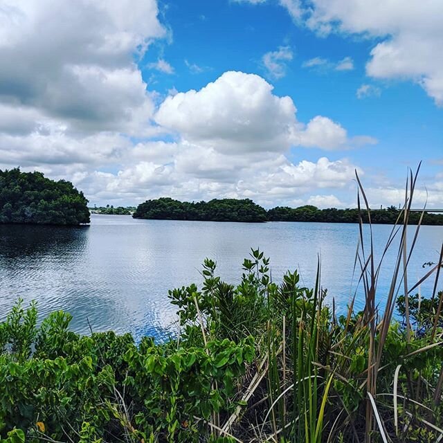 Took the family on a lil' adventure on the Caloosahatchee. Love the company and the views!