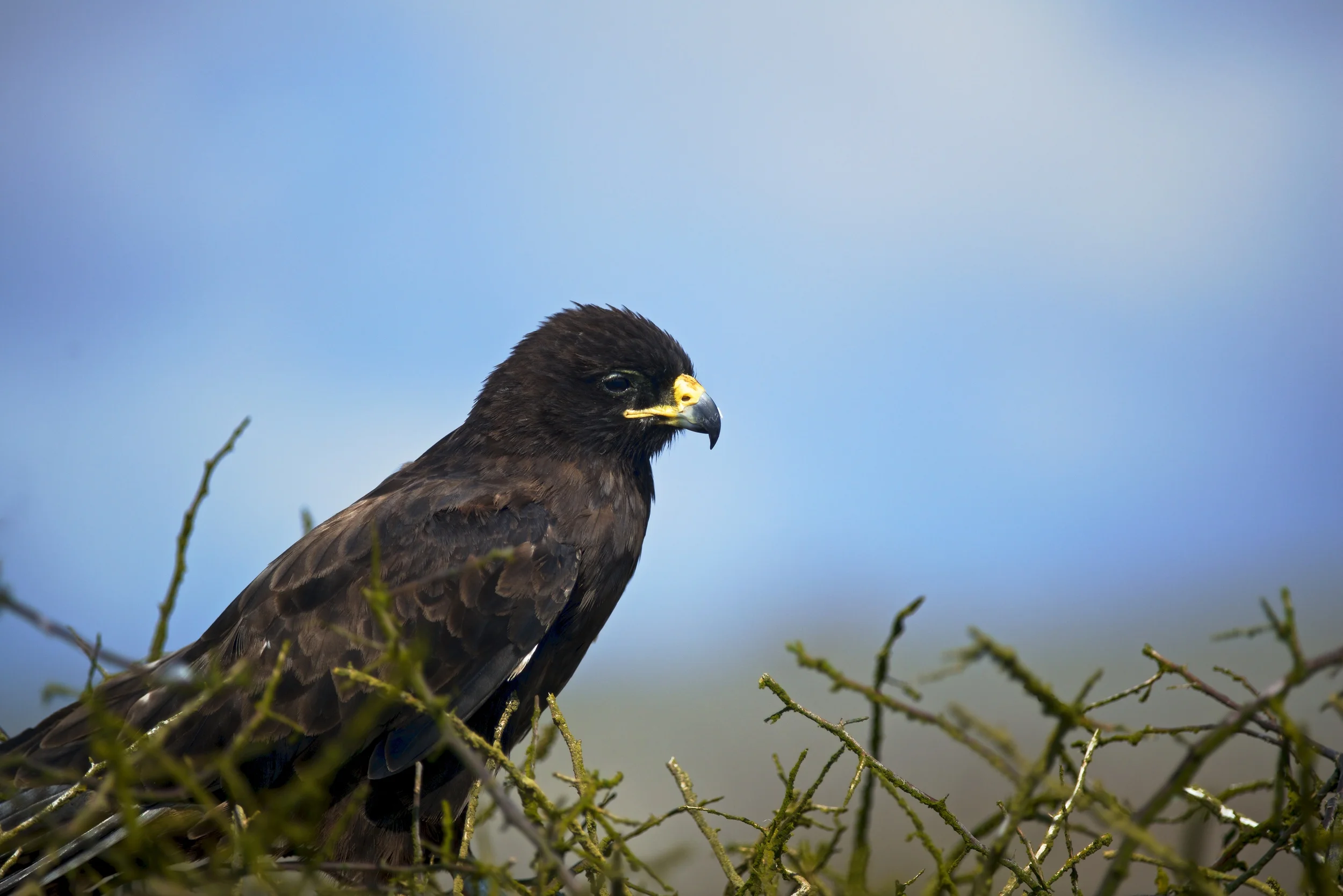 DSC_3882.jpg