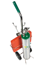 EMERGENCY OXYGEN FOR DENTAL OFFICE - Includes a pre-filled E-cylinder, variable regulator, supplemental O2 nasjs (adult and child), hose and nasal cannula.