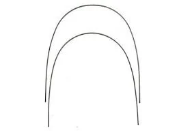 ORTHODONTIC ARCH WIRES