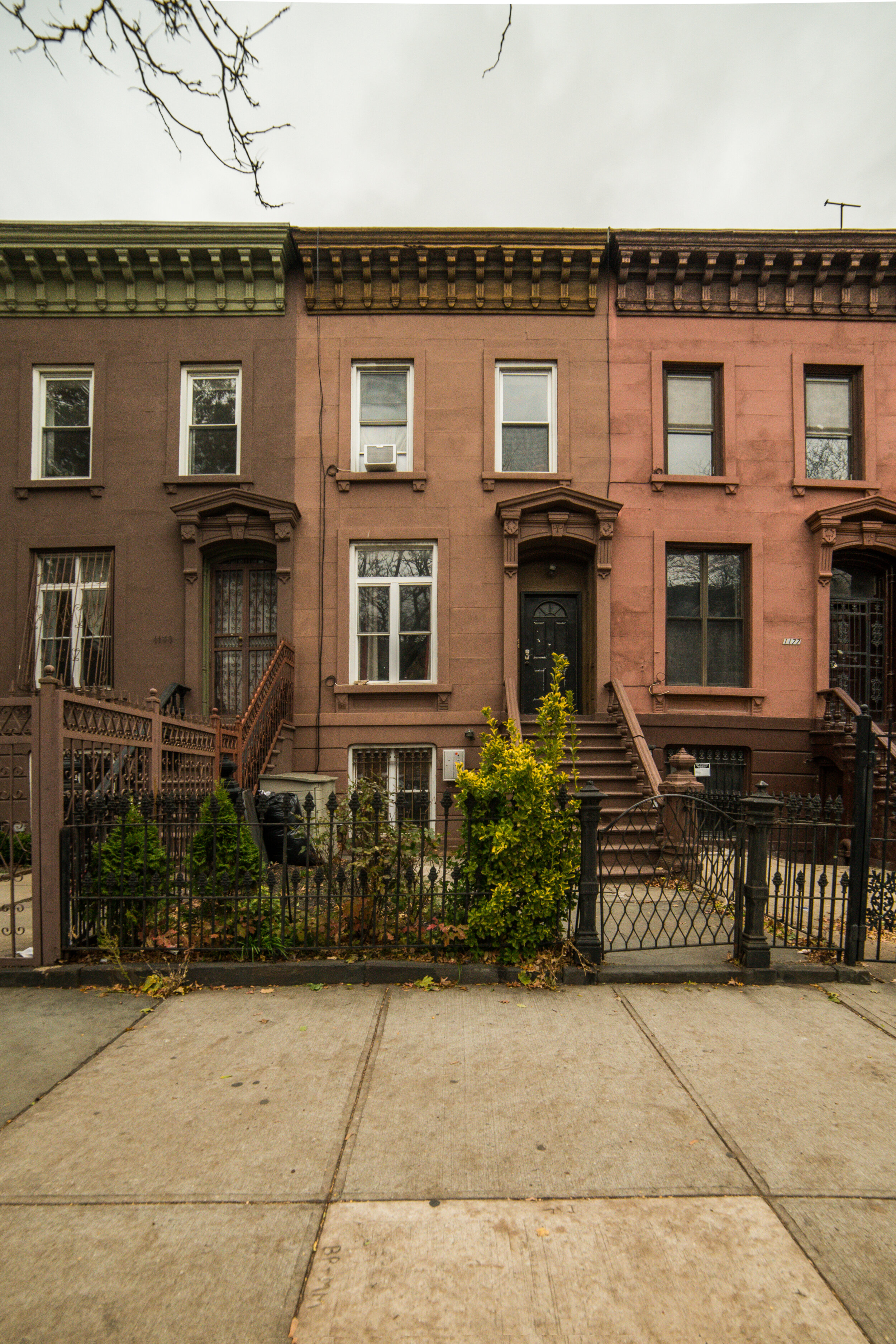 1175Bushwick_111819_01.jpg