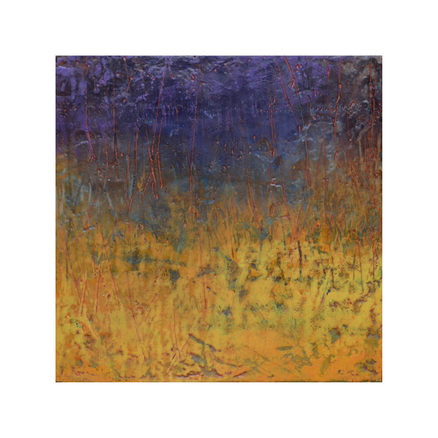   Field and Thicket   12 x 12  Encaustic on Panel  $300 