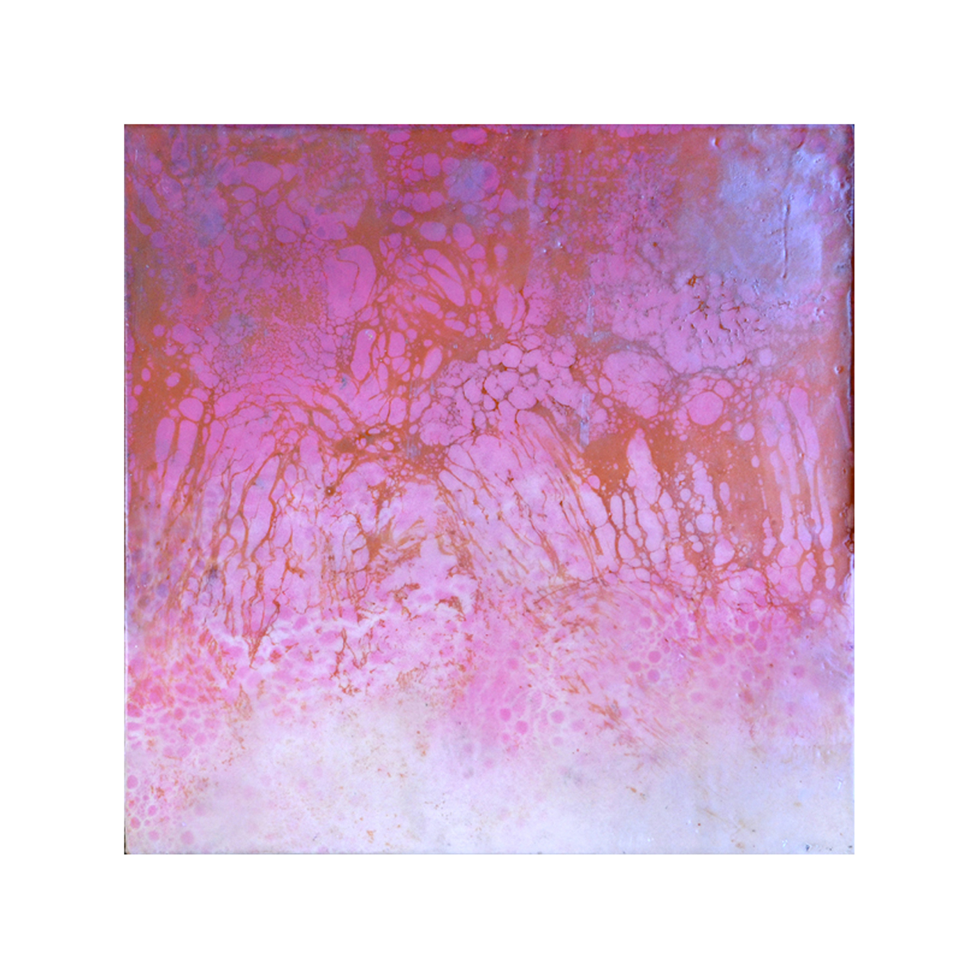 Spring Emerging 4 12 x 12 Encaustic on Panel $300