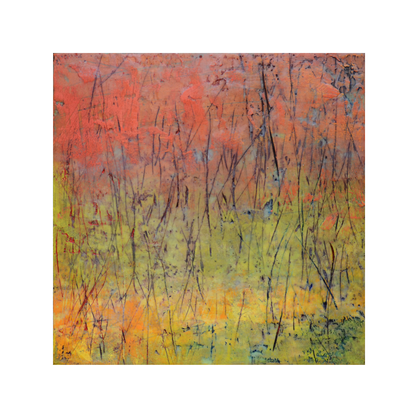   Thicket 1   12 x 12  Encaustic on Panel  $300 