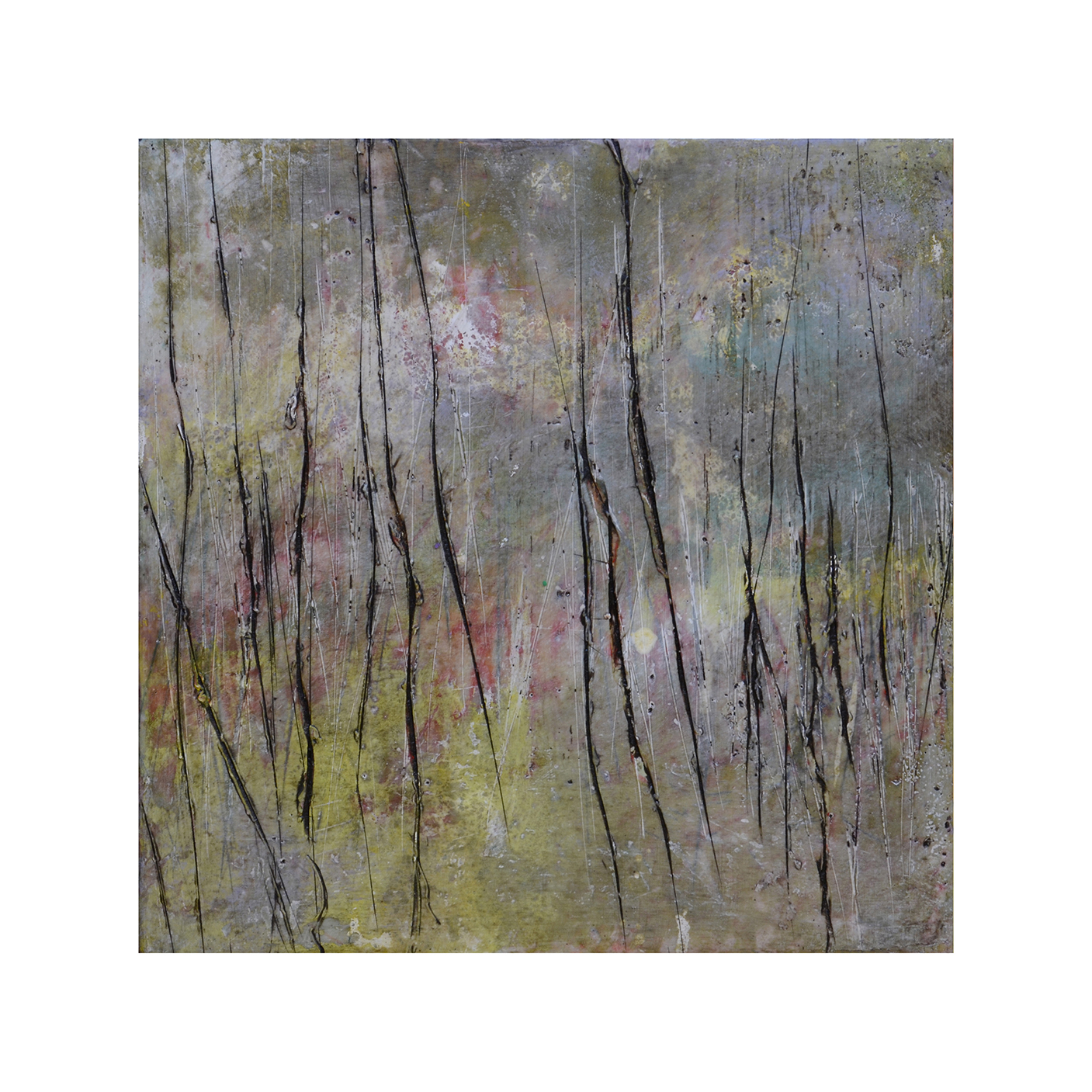   Thicket 4   12 x 12  Encaustic on Panel  $300 