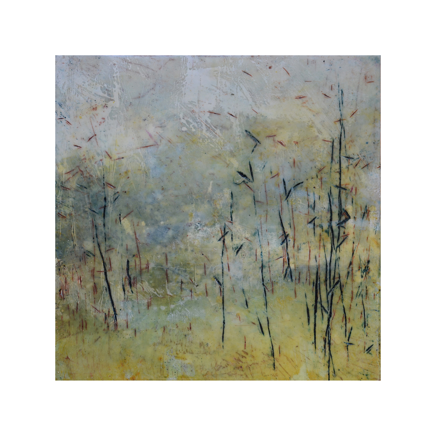   Thicket Edge   12 x 12  Encaustic on Panel  $300 