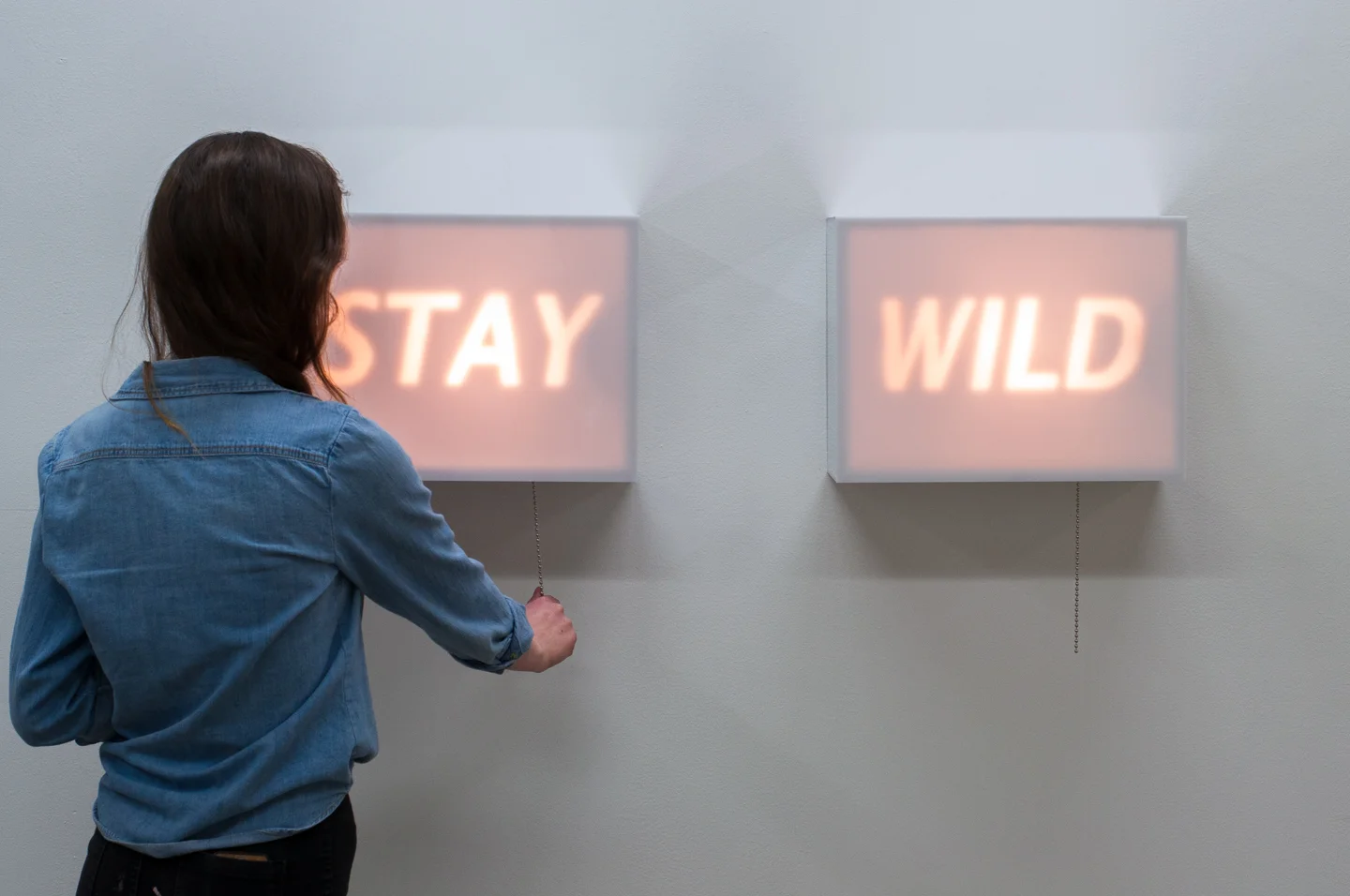 Stay Wild