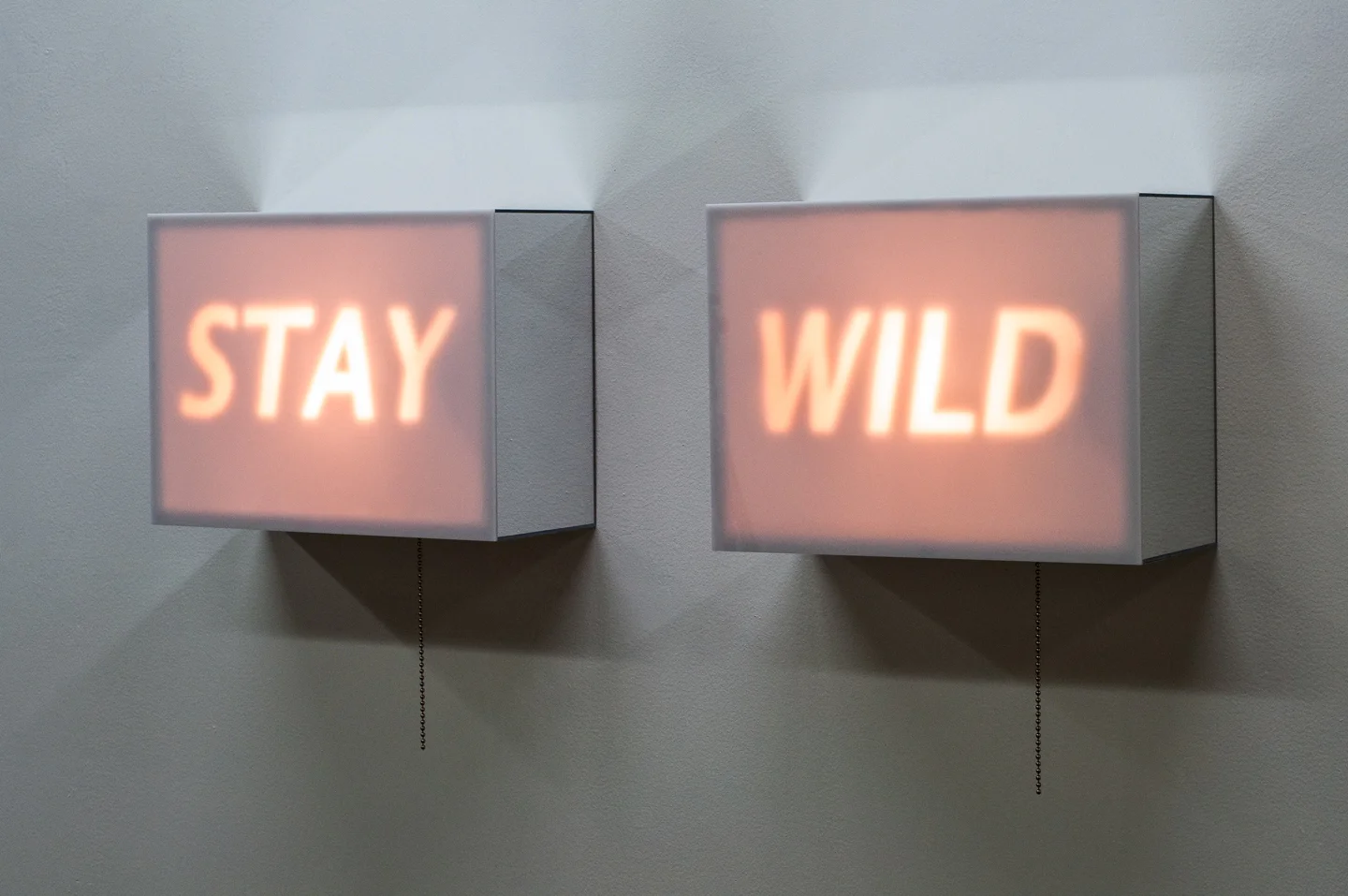 Stay Wild