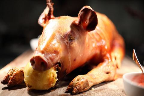piggie.png