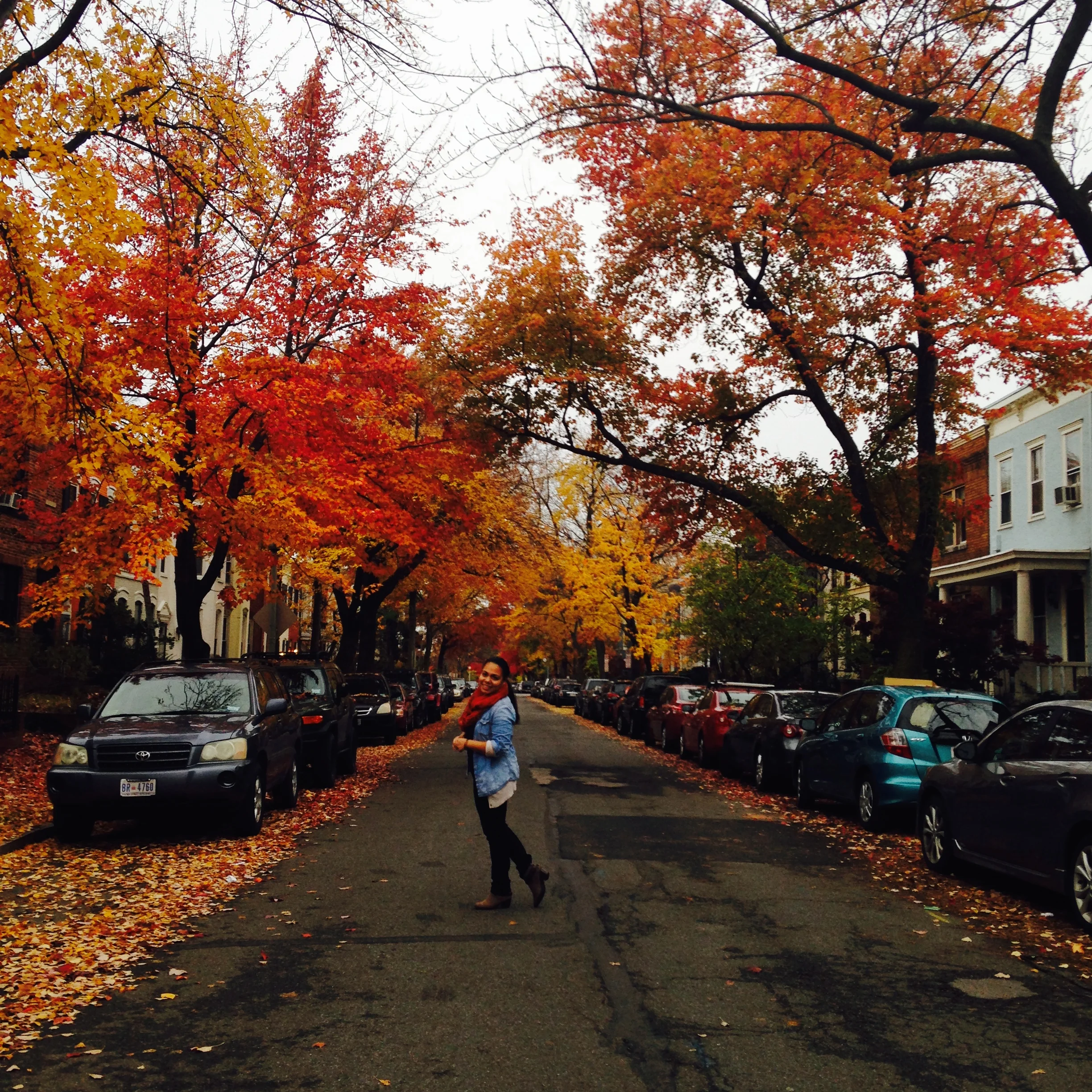 My favorite season captured best in Eastern Market | Washington, D.C.