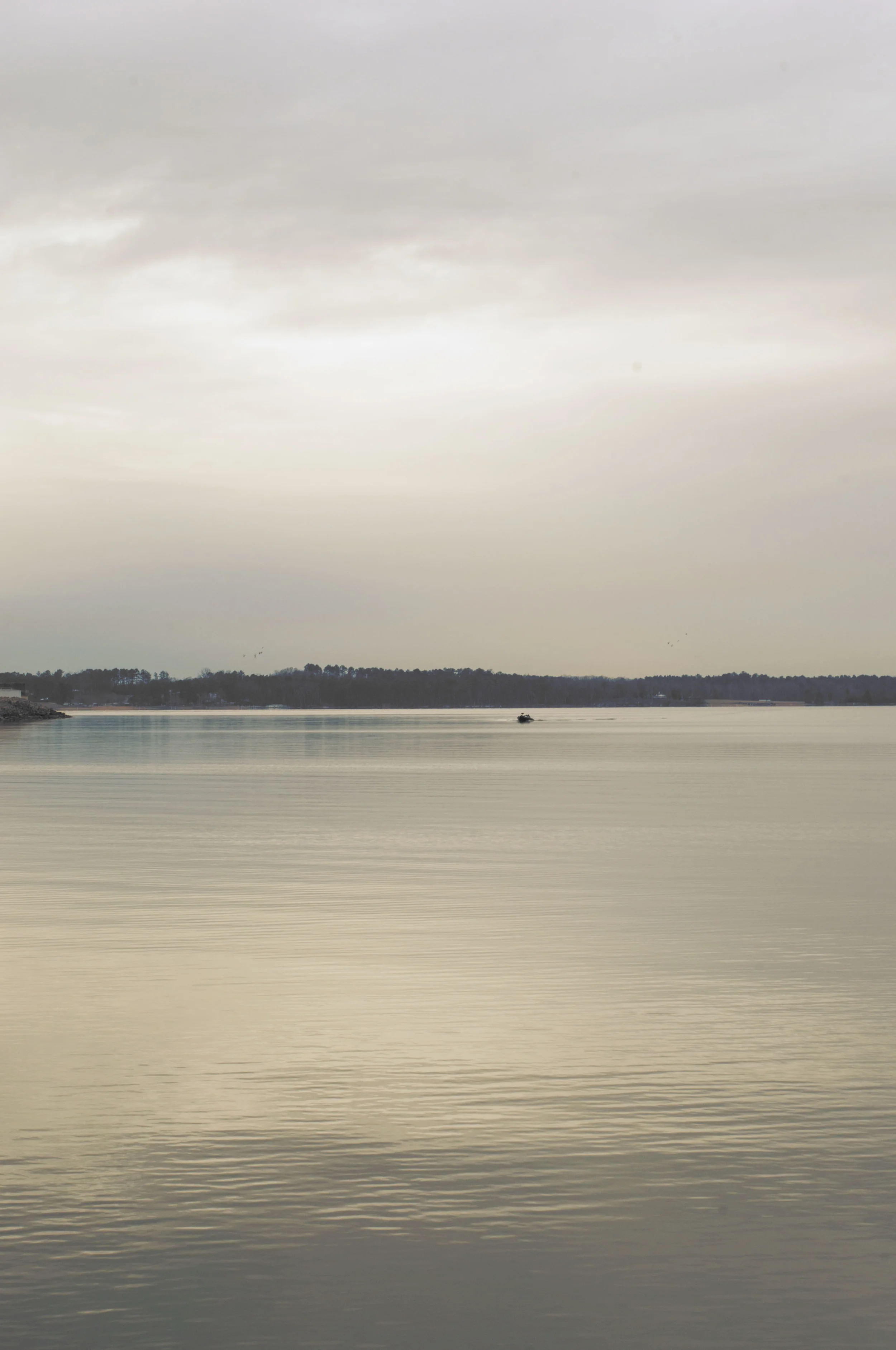 DSC_0338.jpg