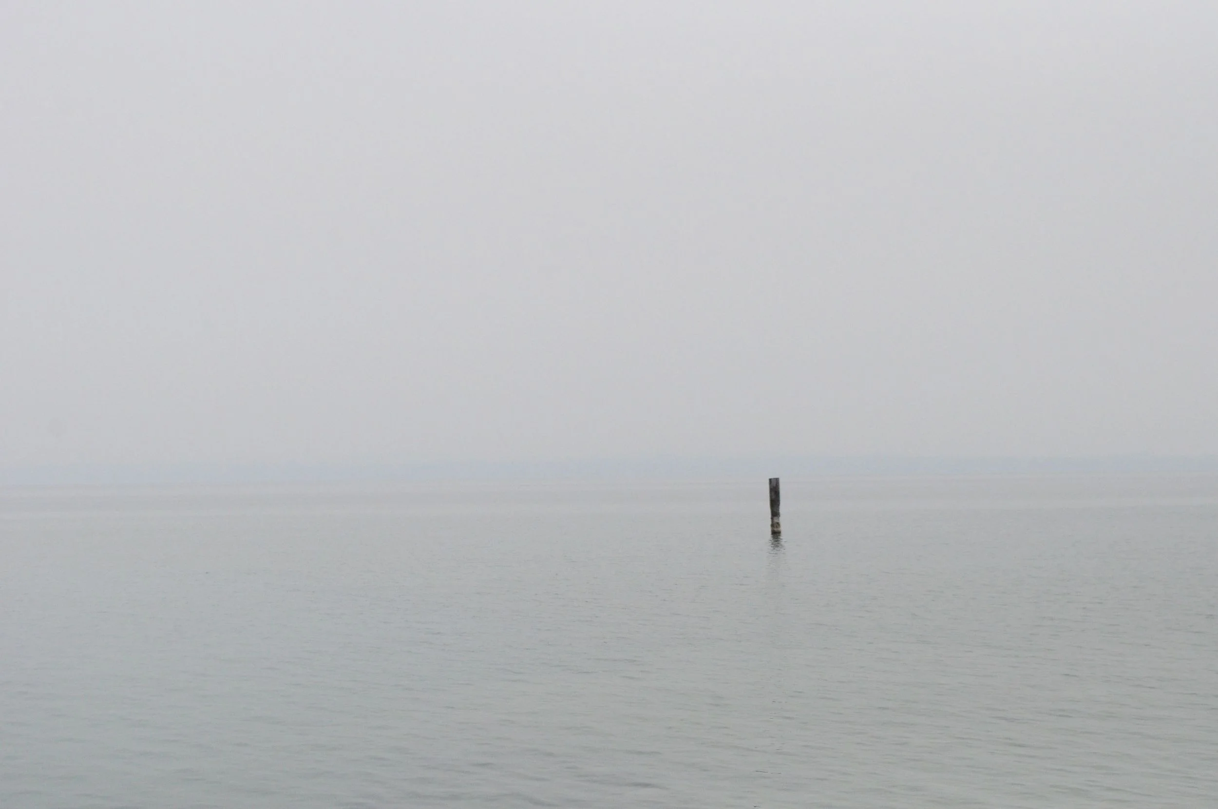 DSC_0337.jpg