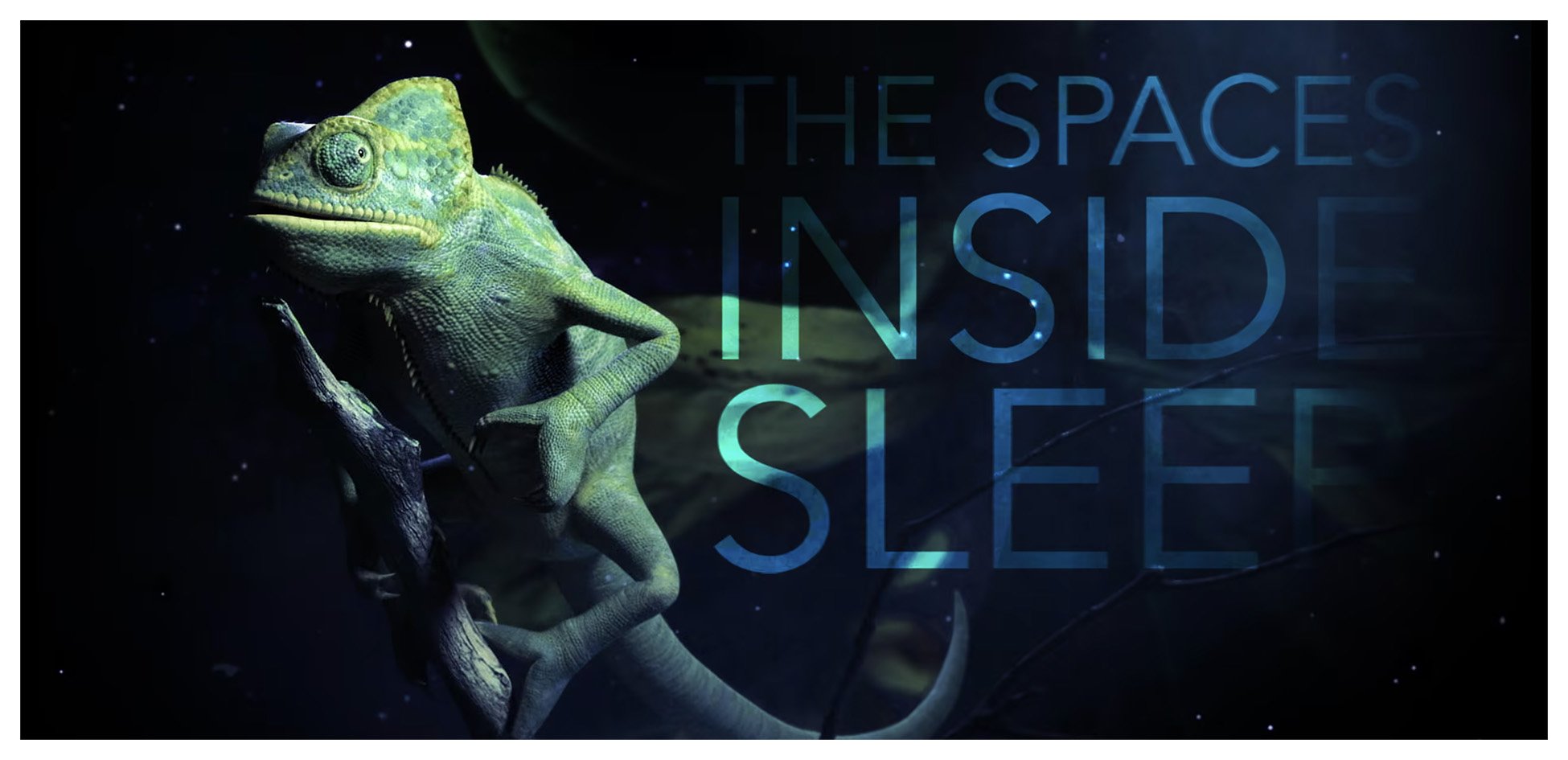 The Spaces Inside Sleep