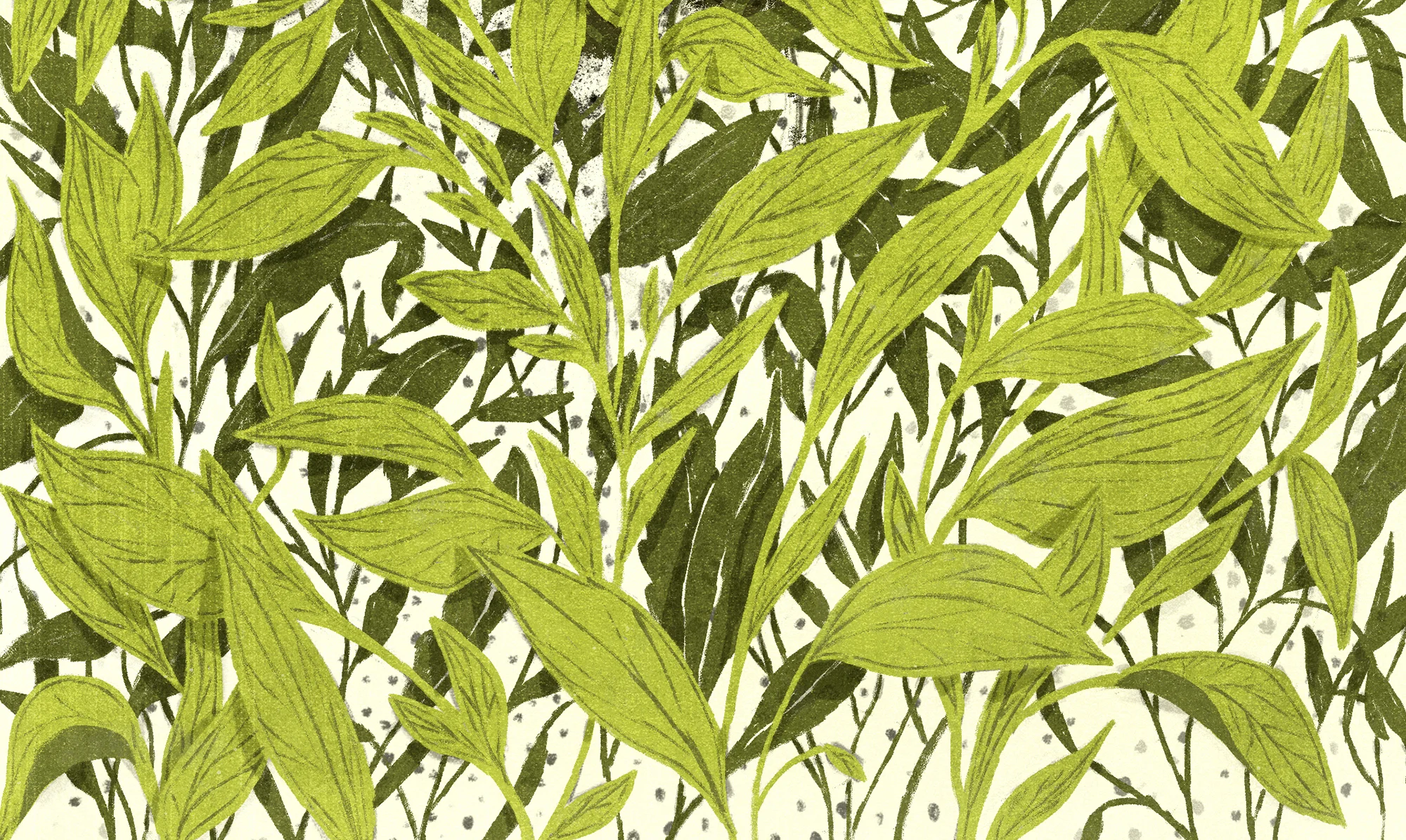 Dom_Civiello_Julia_Plants_Web72.jpg