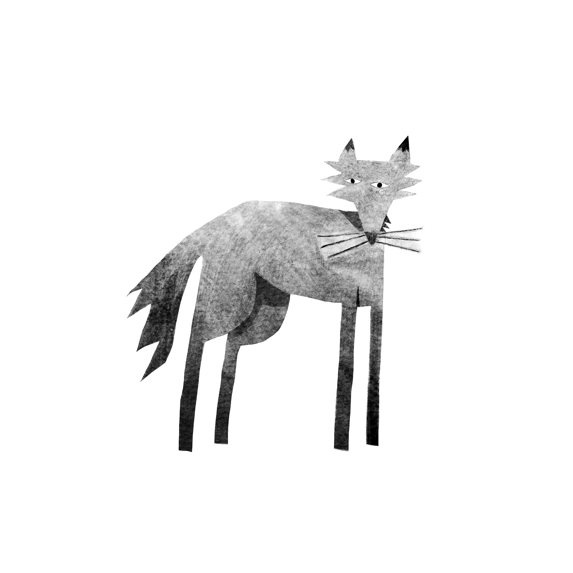 DomCiviello_Wolf_Spot_Web.jpg