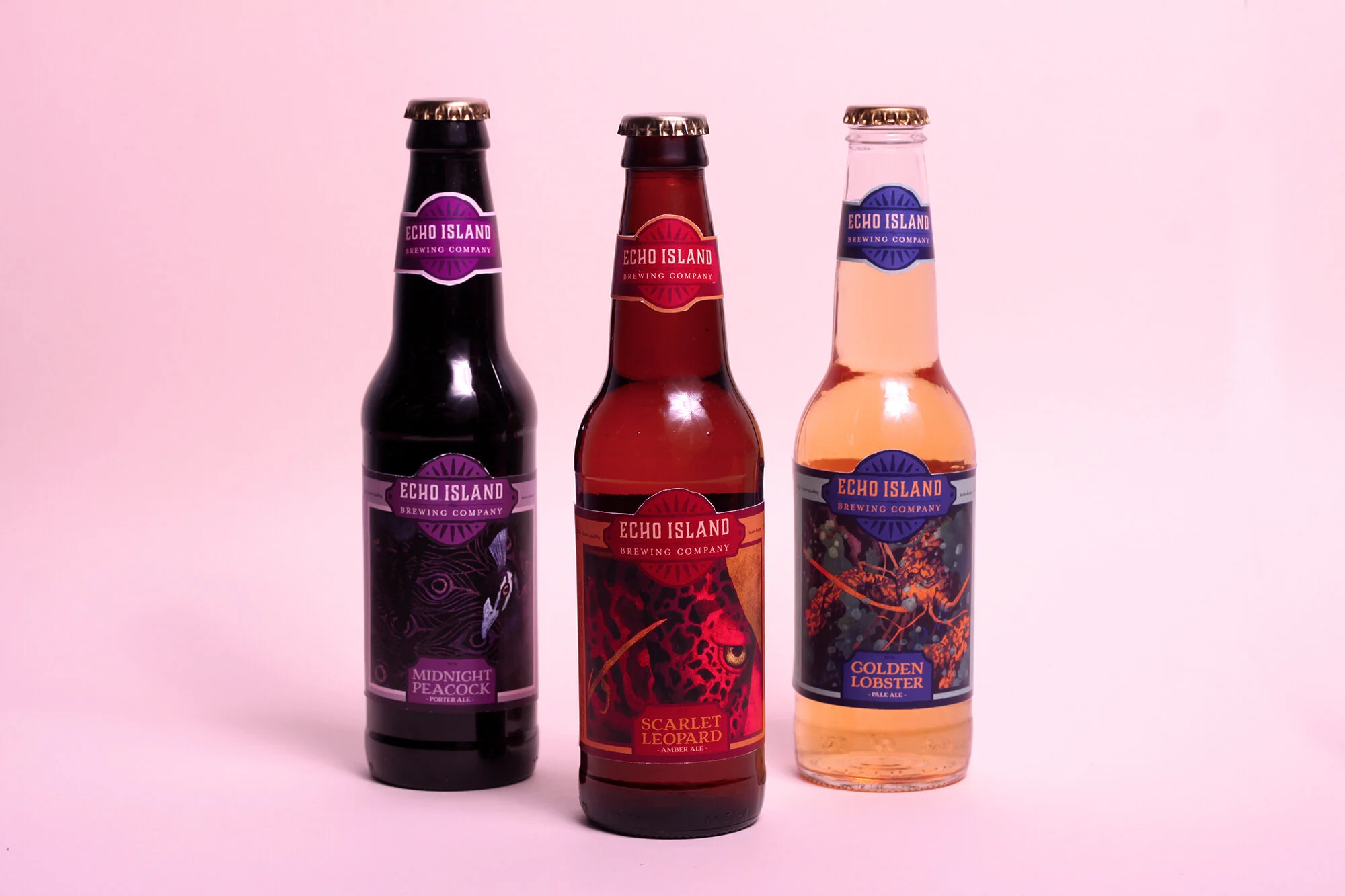 IMG_4586 edit web2.jpg