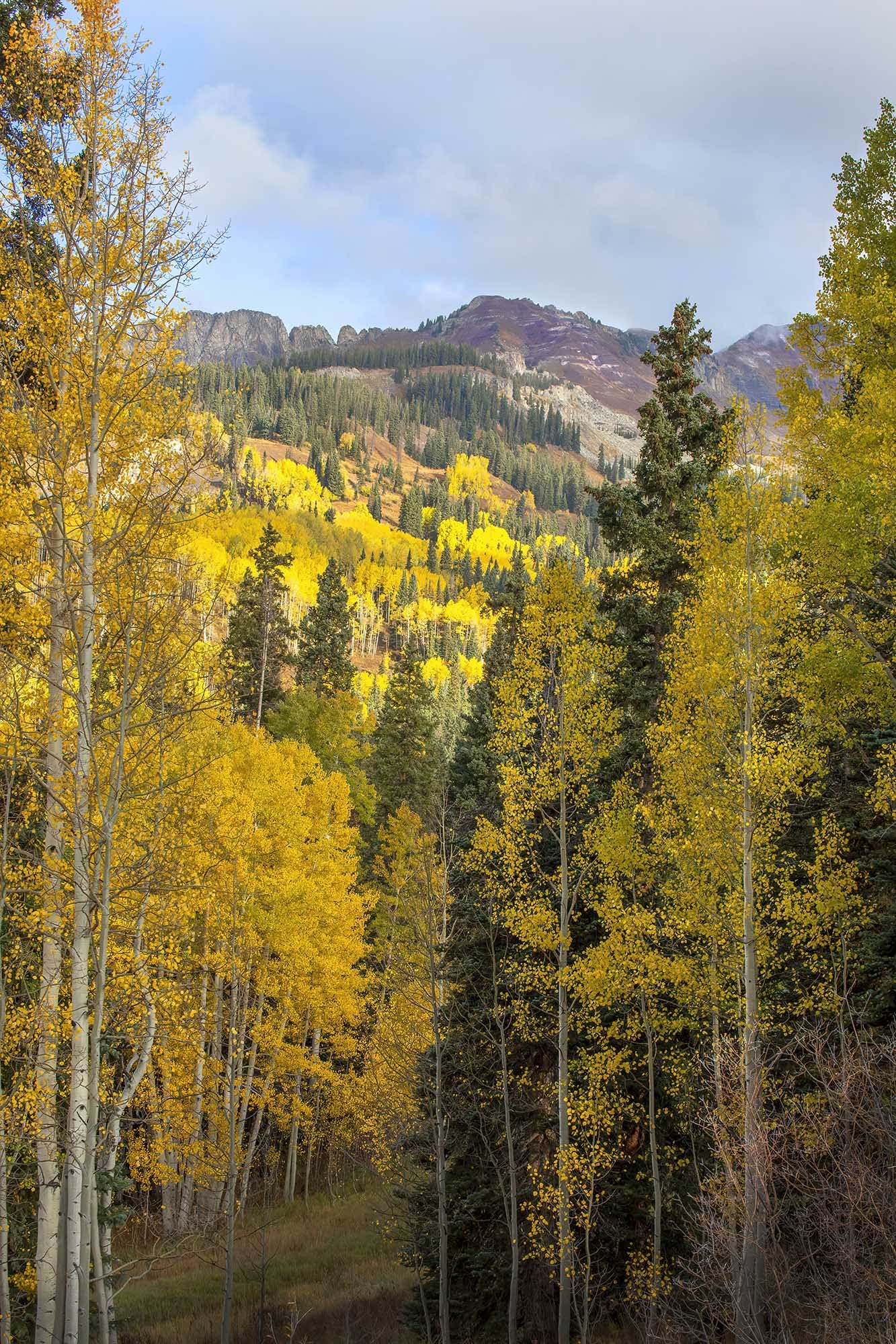 Colorado Fall 2.jpg